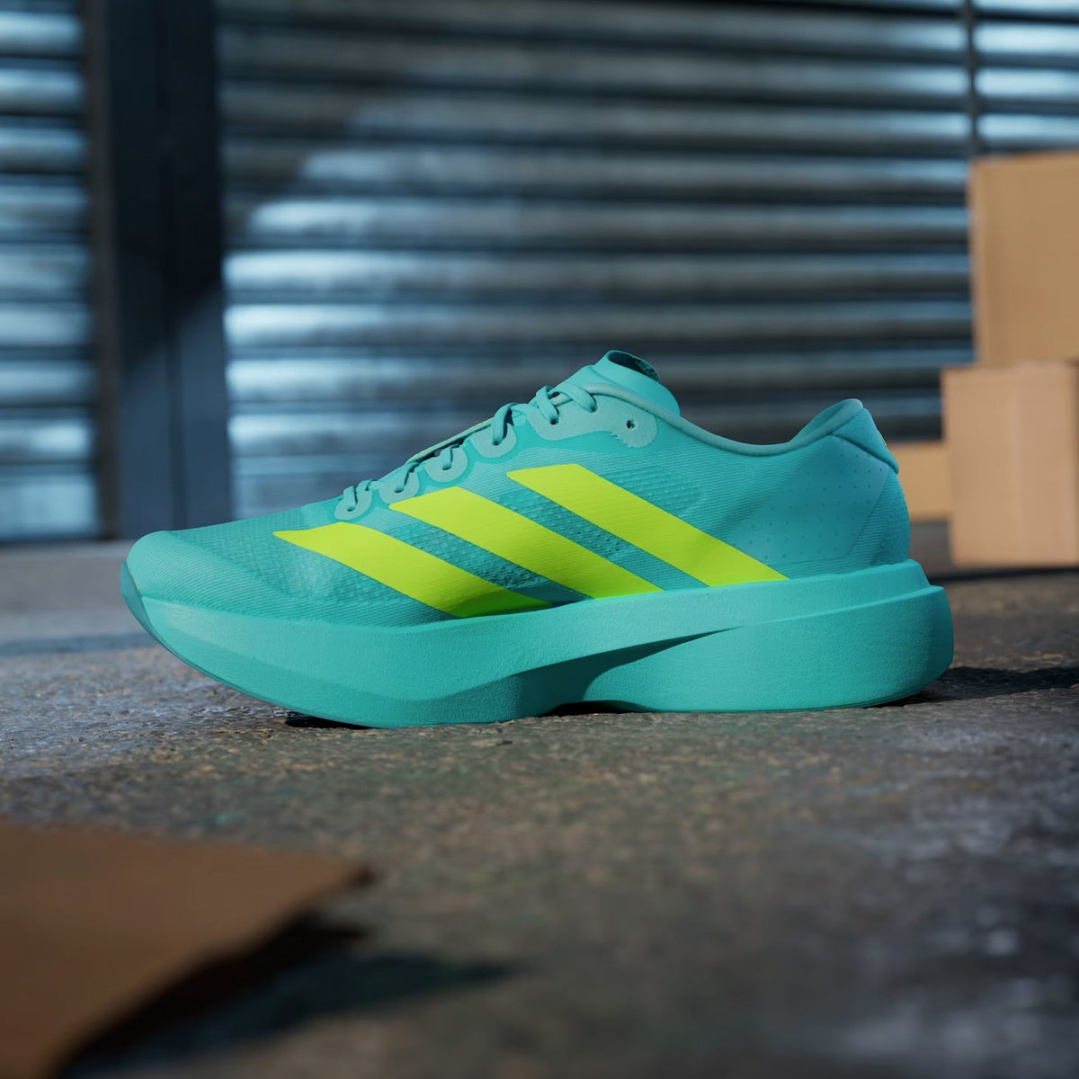 adidas gazelle silver green womens adidas Performance Adizero Evo SL