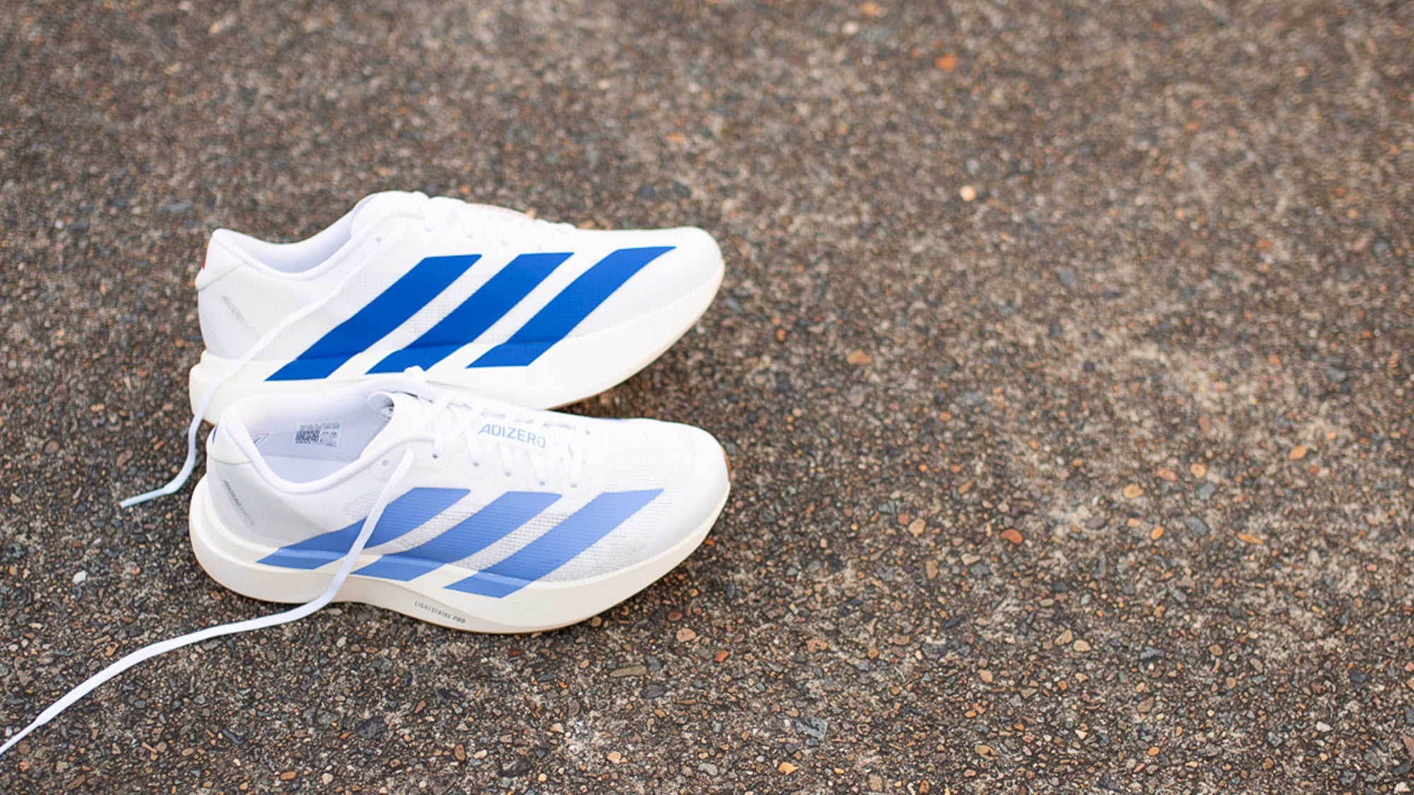 Tempo Trainers