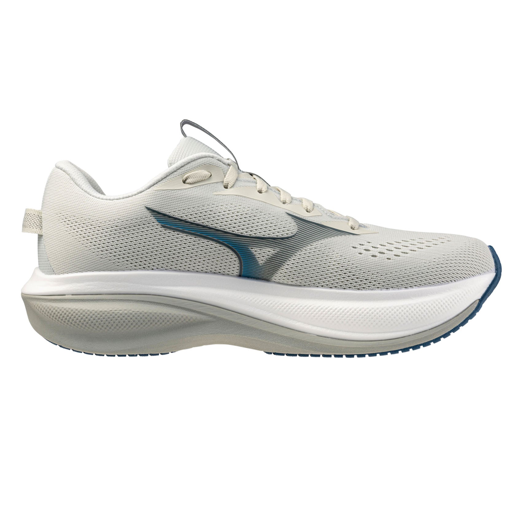 Mens Mizuno Wave Rider 30