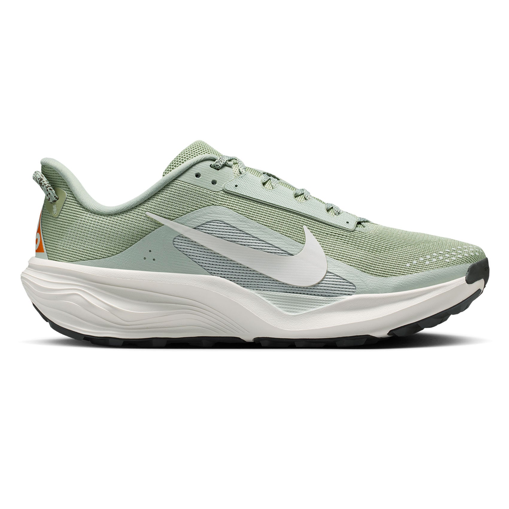 Mens Nike ACG Pegasus Trail