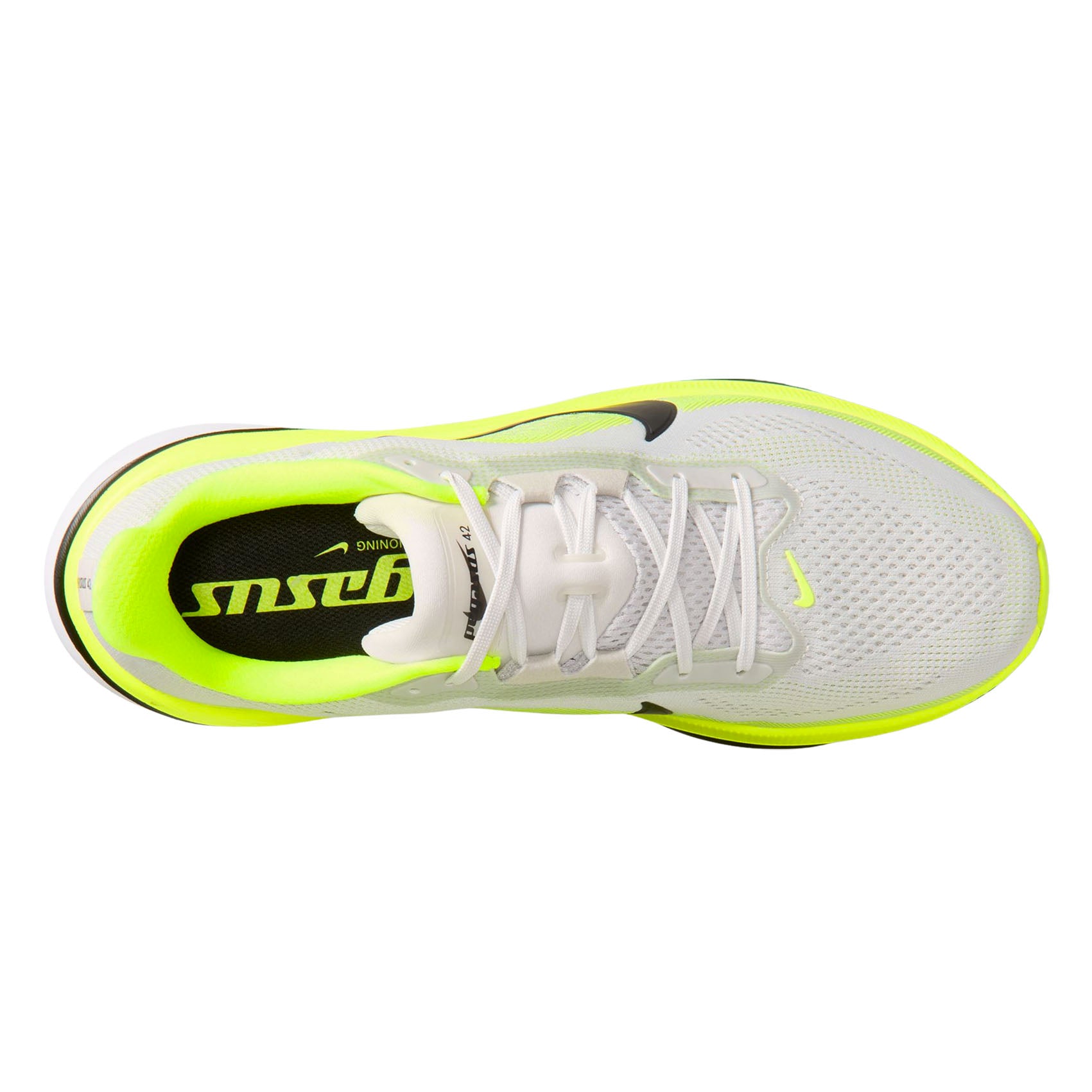 Mens Nike Pegasus 42