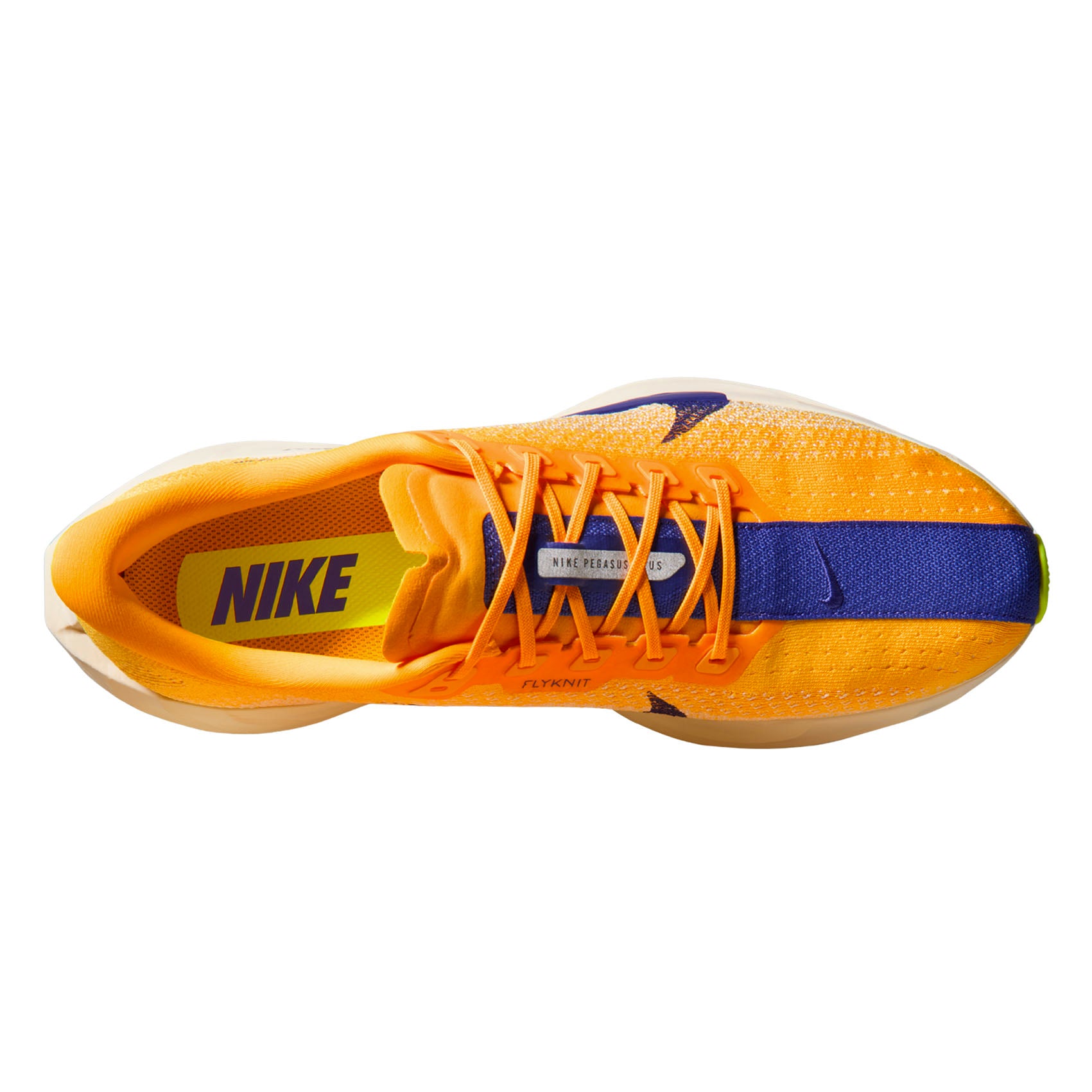 Mens Nike Pegasus Plus