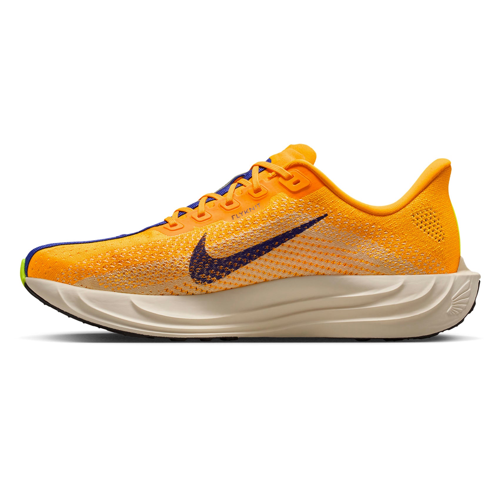 Mens Nike Pegasus Plus