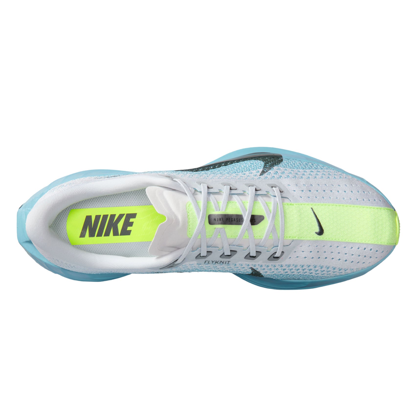 Mens Nike Pegasus Plus