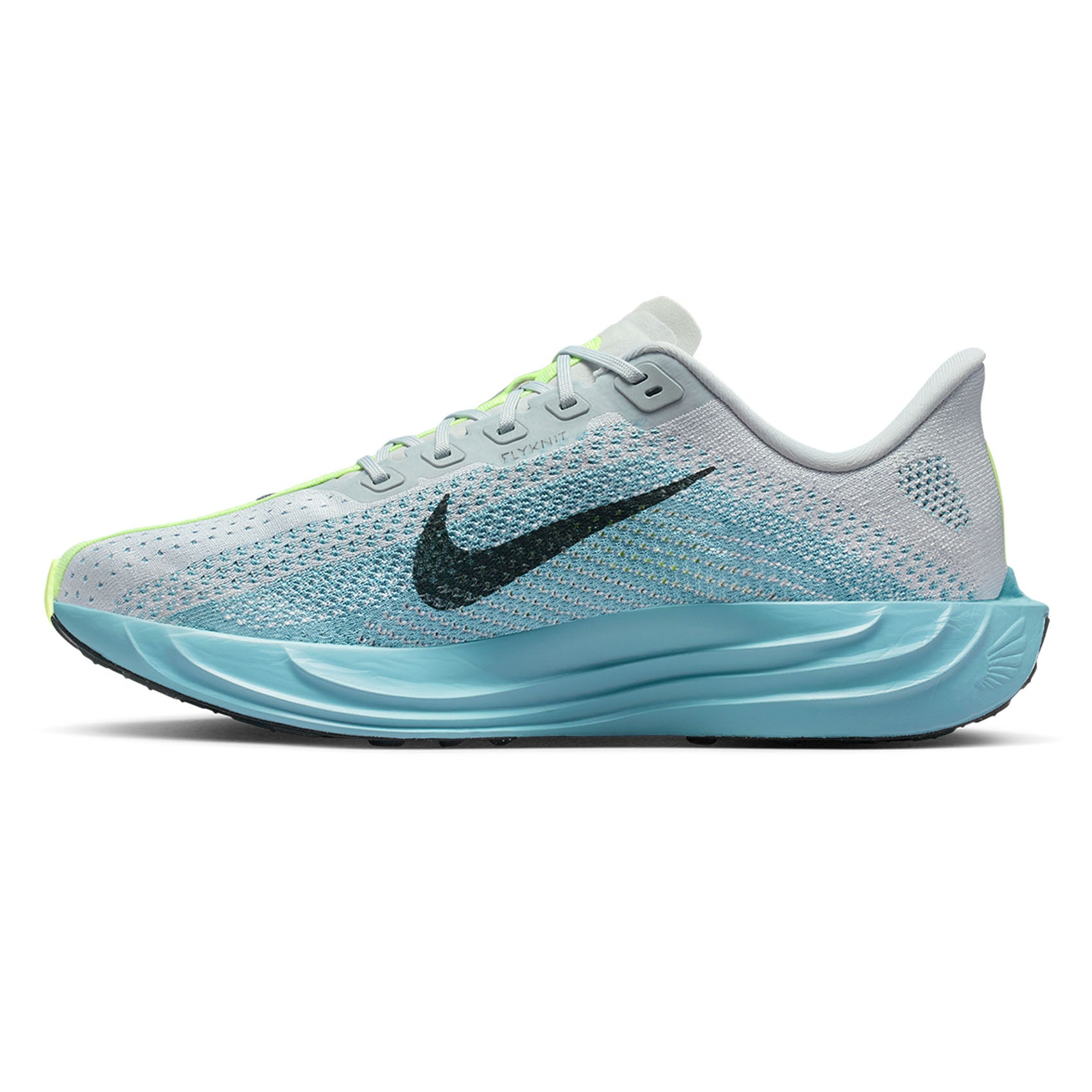 Mens Nike Pegasus Plus