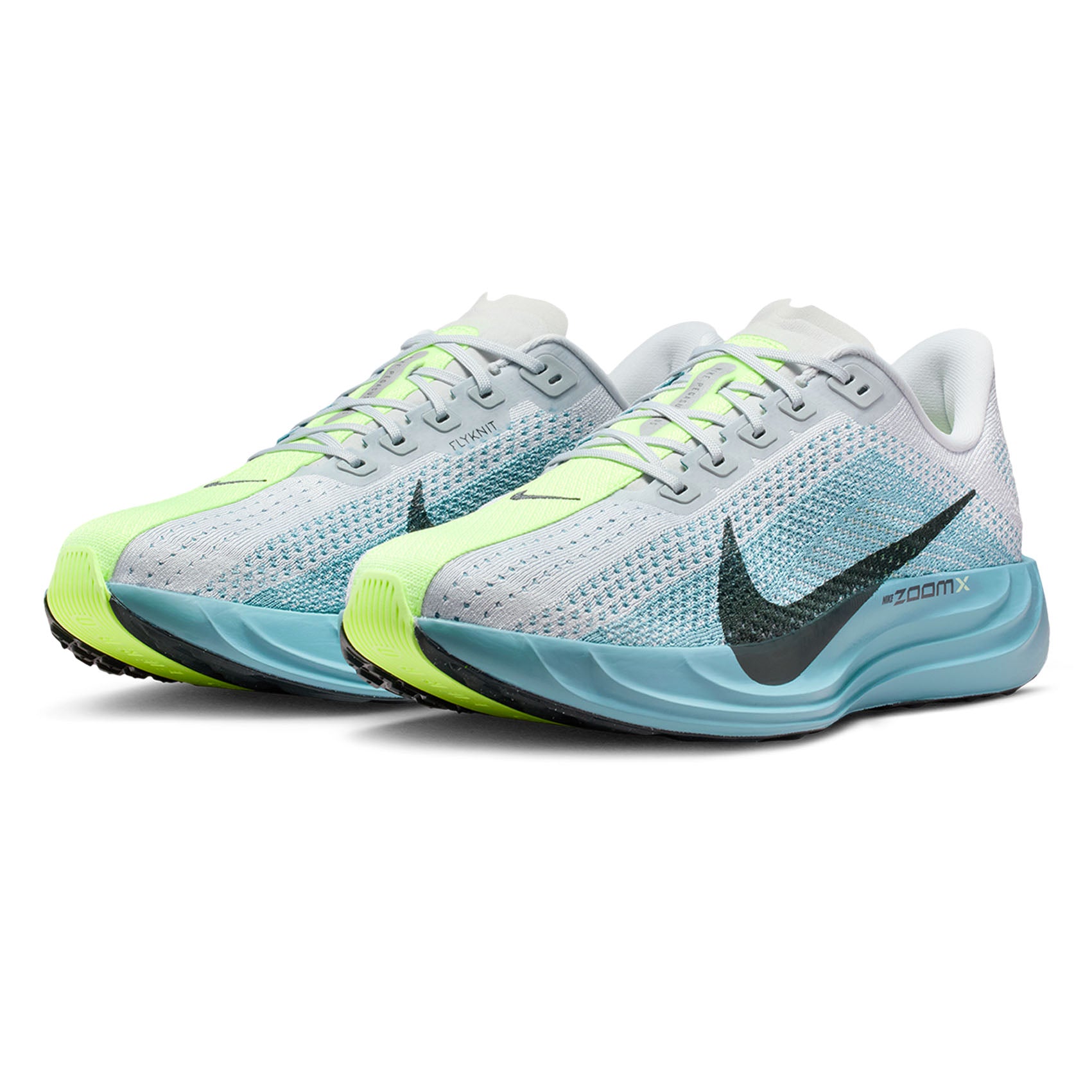 Mens Nike Pegasus Plus