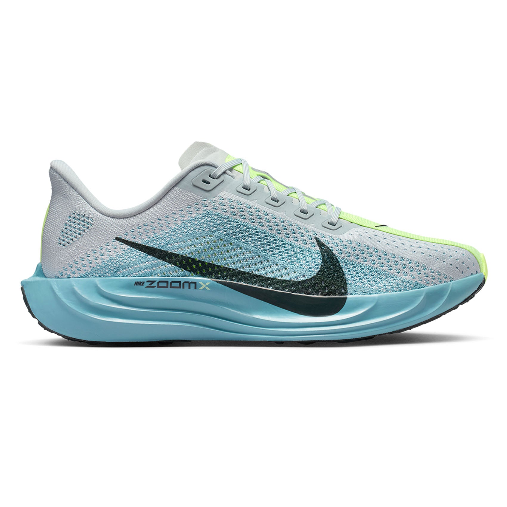 Mens Nike Pegasus Plus