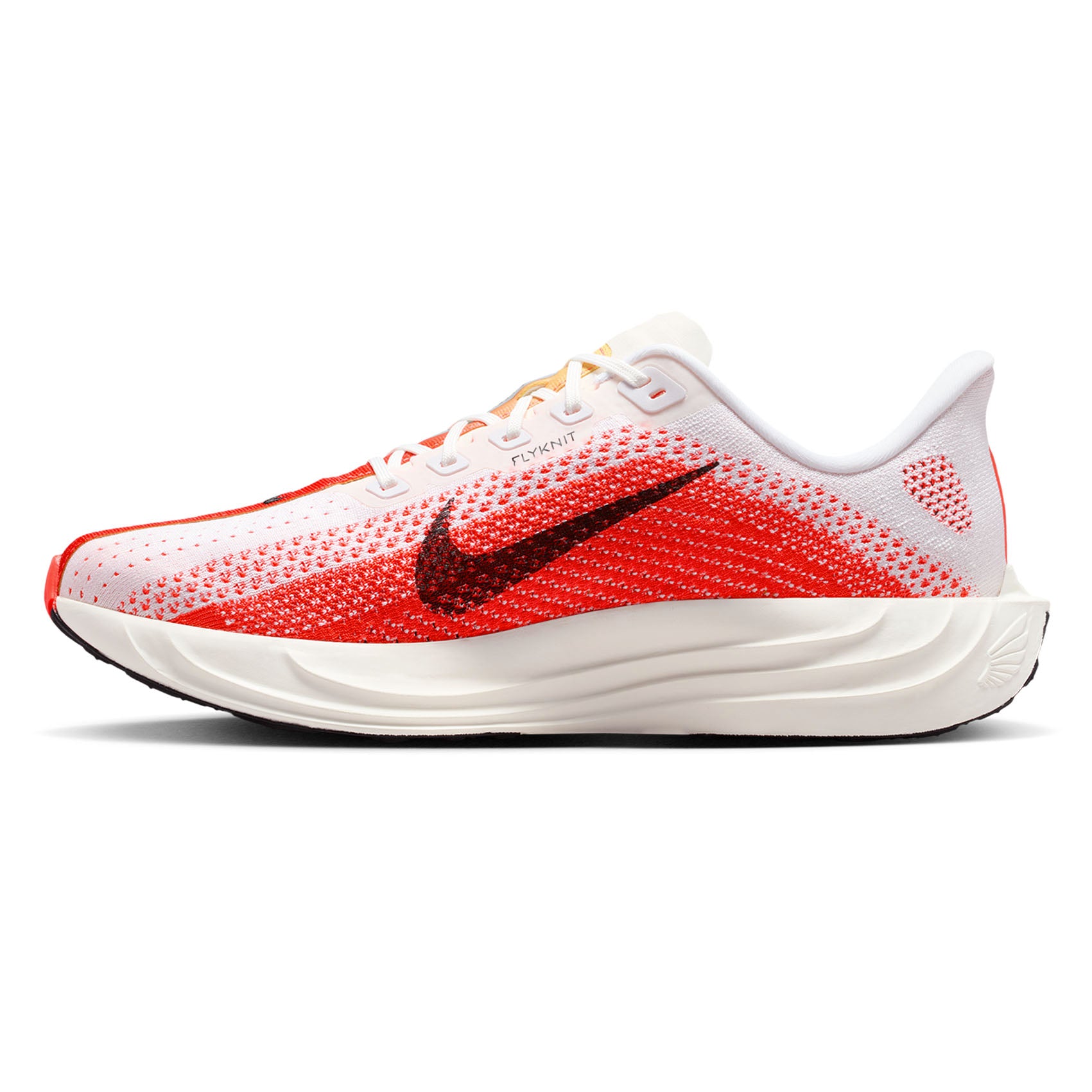 Mens Nike Pegasus Plus
