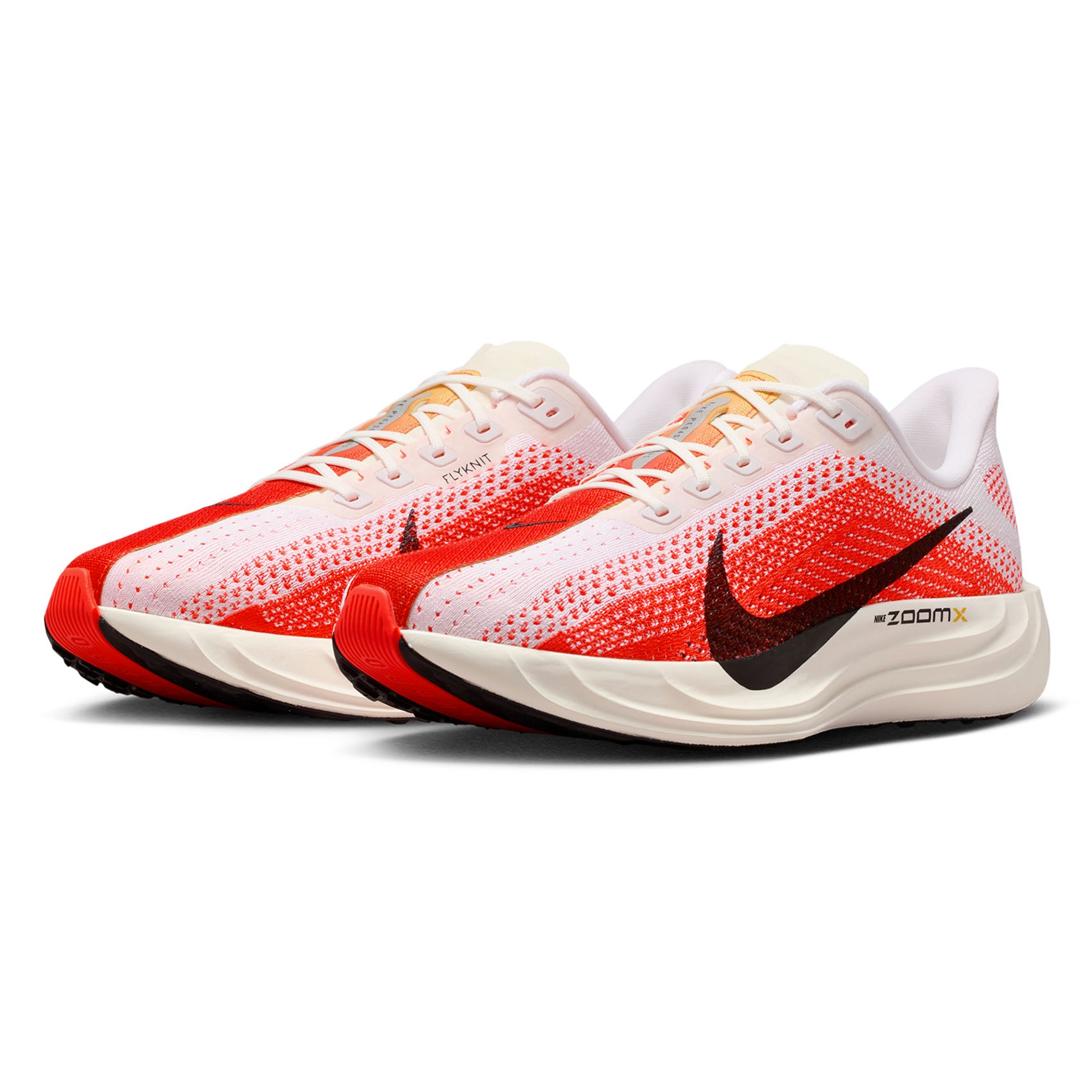 Mens Nike Pegasus Plus