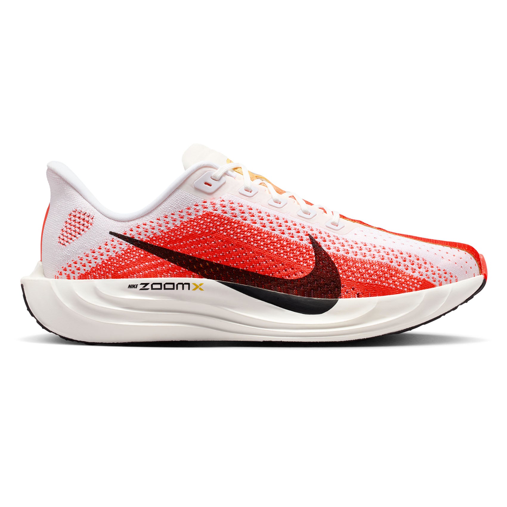 Mens Nike Pegasus Plus