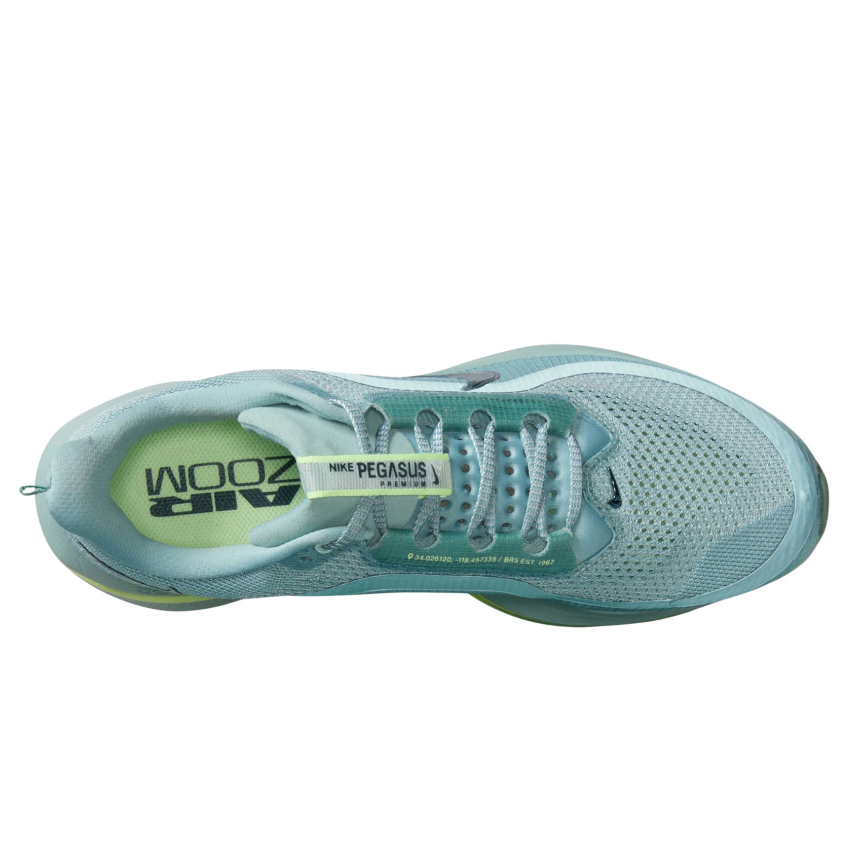 Mens Nike Pegasus Premium