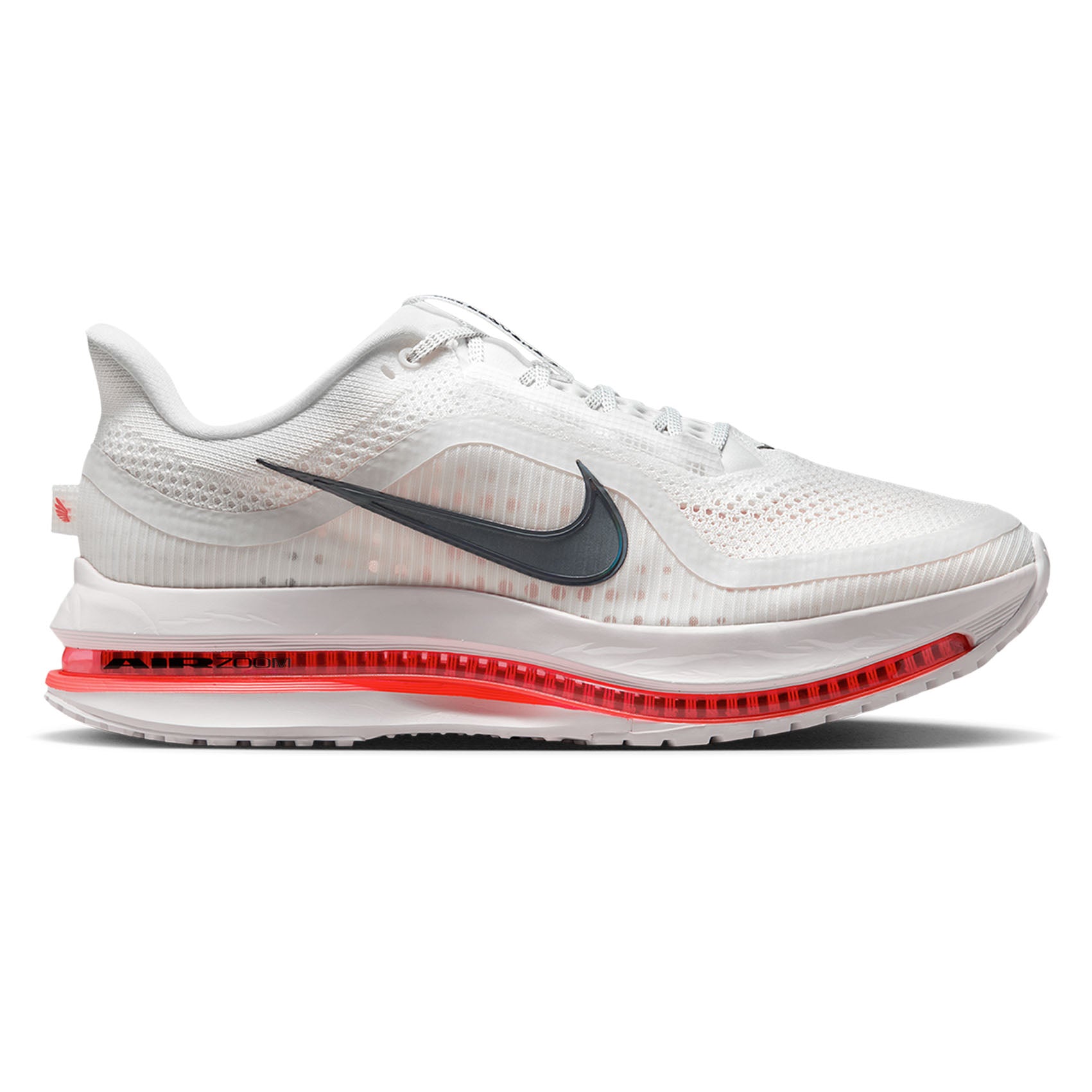 Mens Nike Pegasus Premium