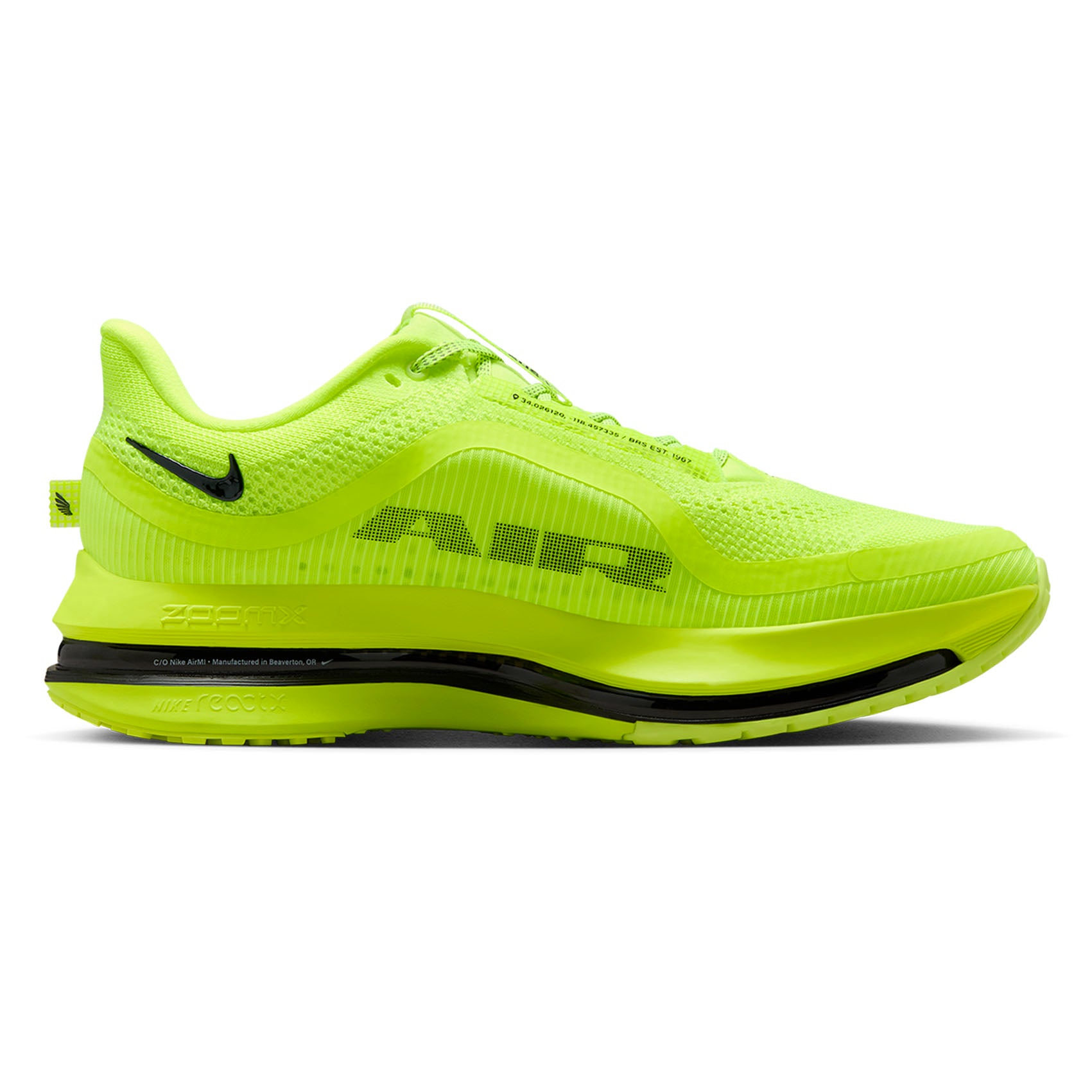 Mens Nike Pegasus Premium