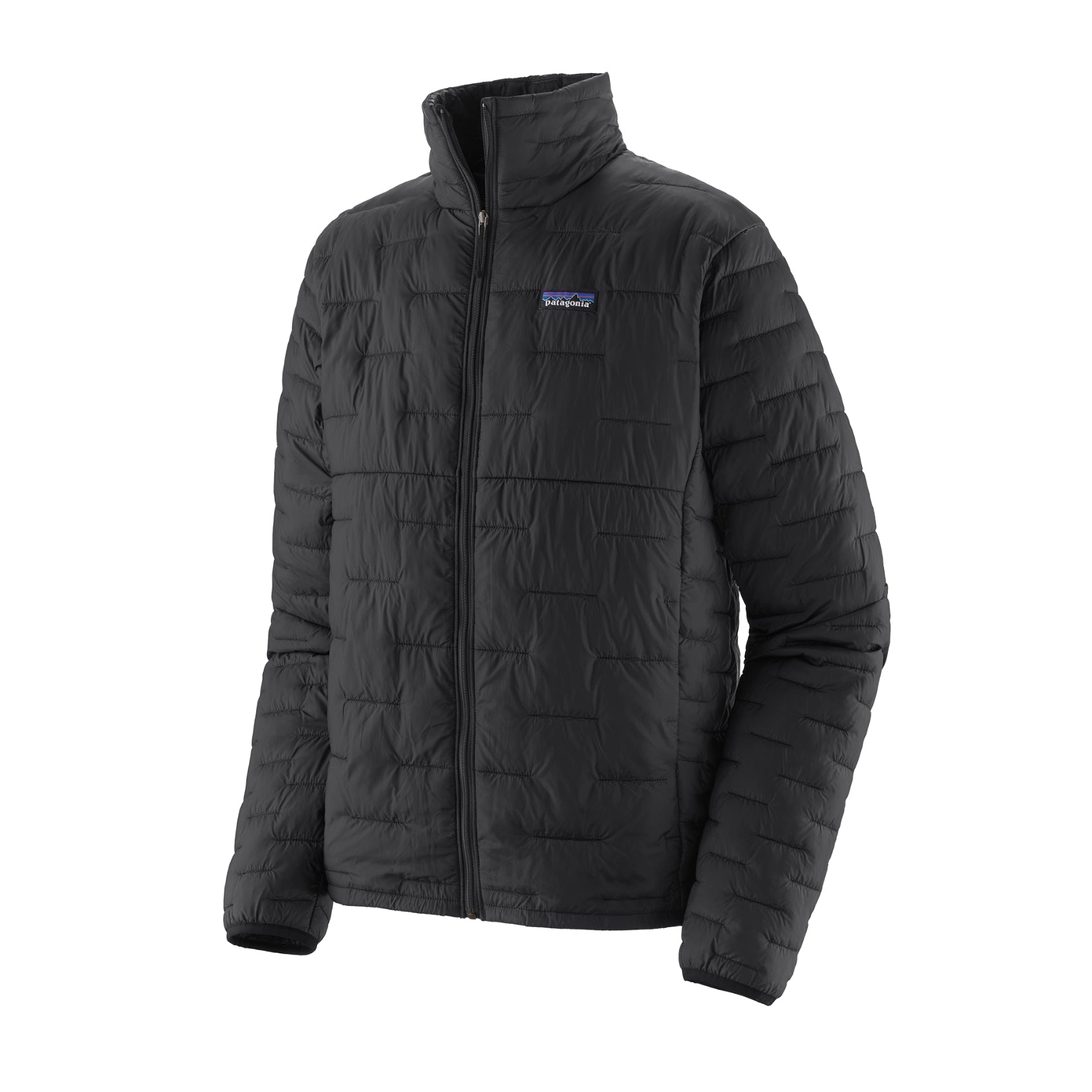 Mens Patagonia Micro Puff Jacket