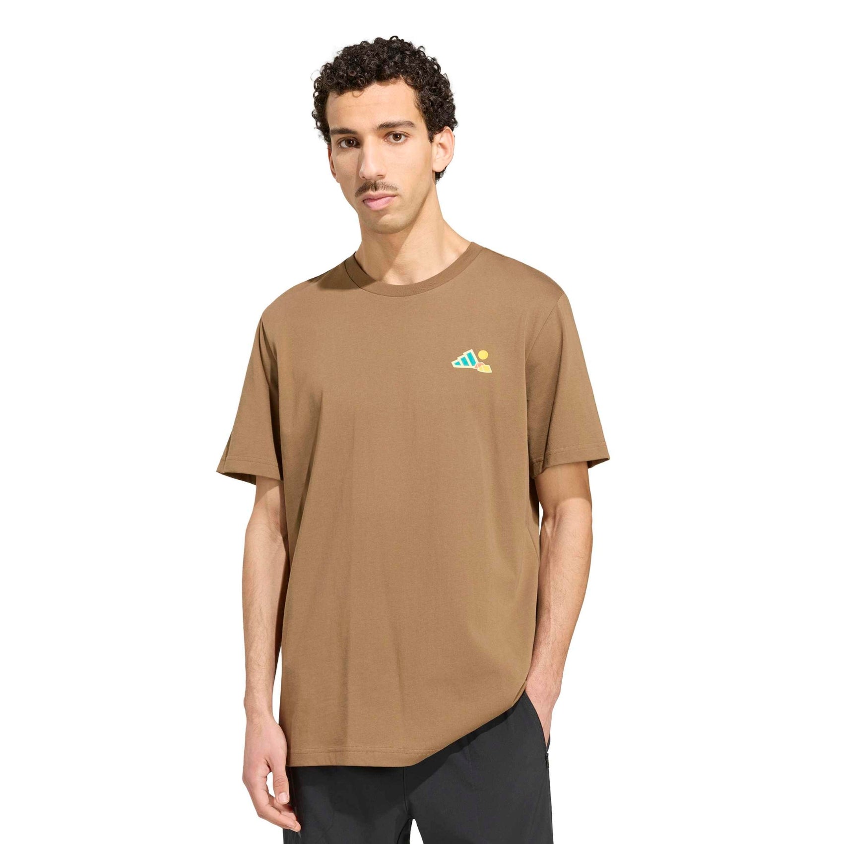 Mens adidas Terrex Camper Graphic Tee