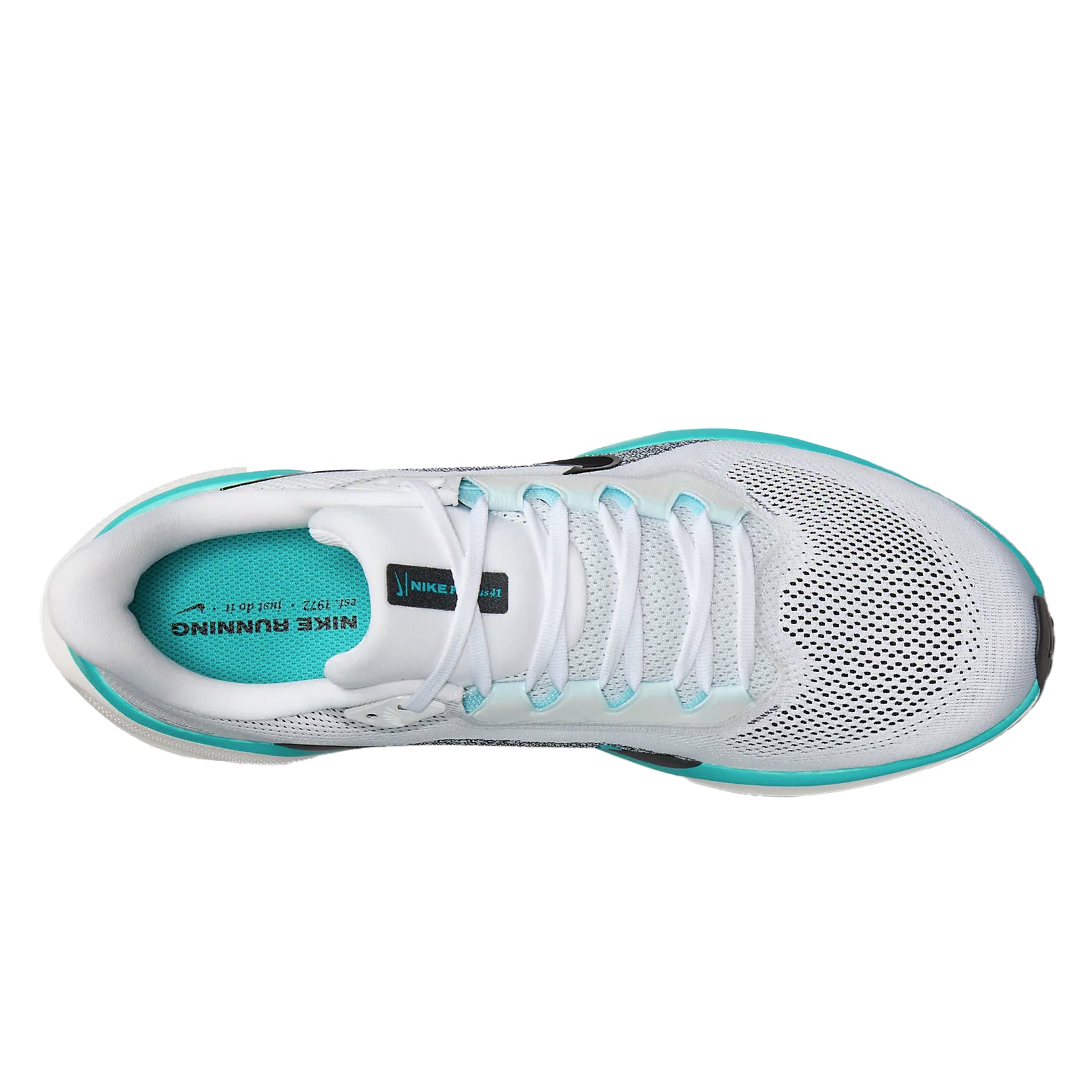 Mens Nike Pegasus 41