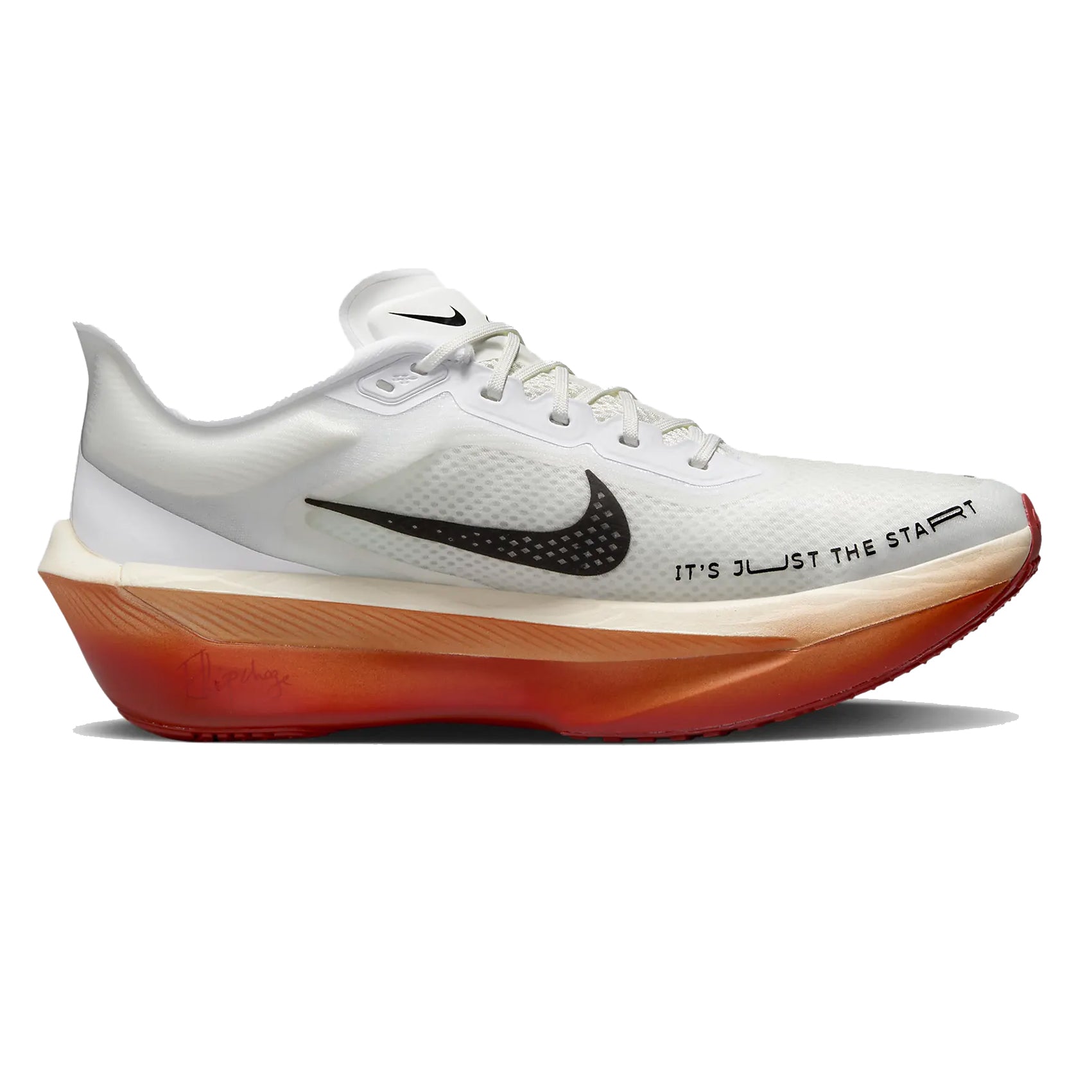 Mens Nike Zoom Fly 6