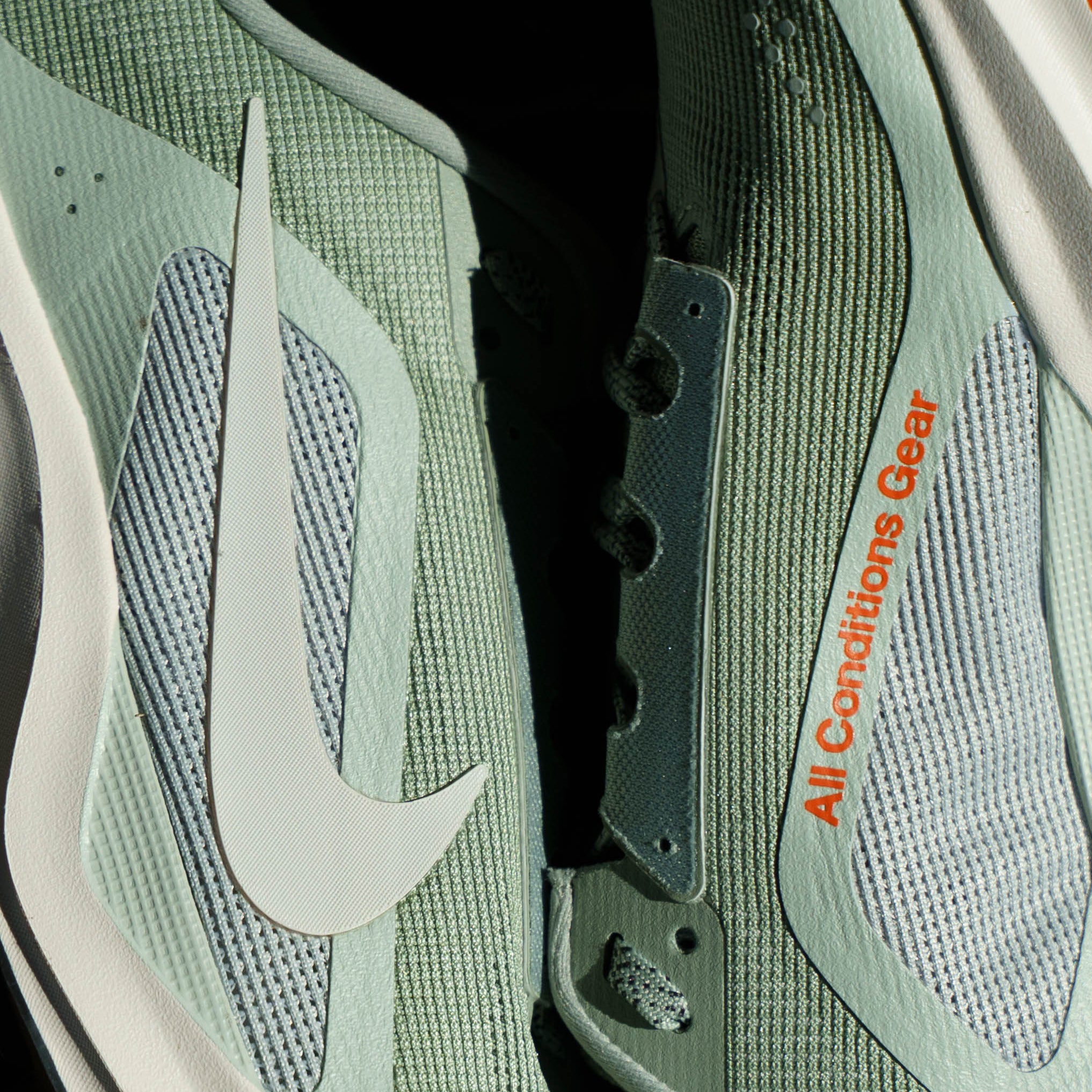 Mens Nike ACG Pegasus Trail