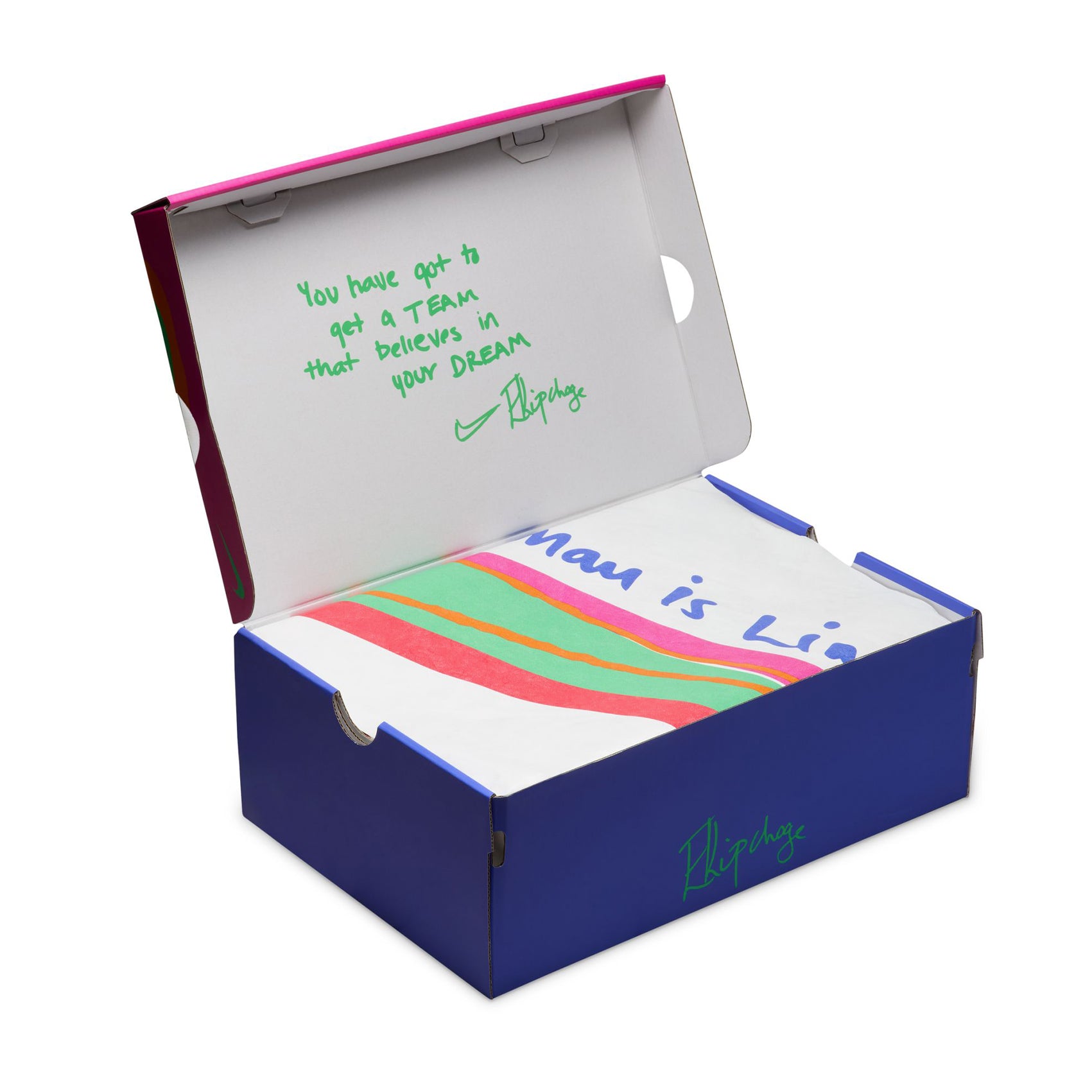 Mens Nike Vaporfly 4 EK