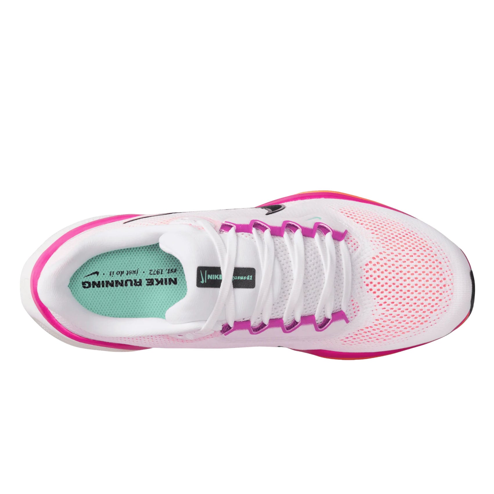 Womens Nike Pegasus 41