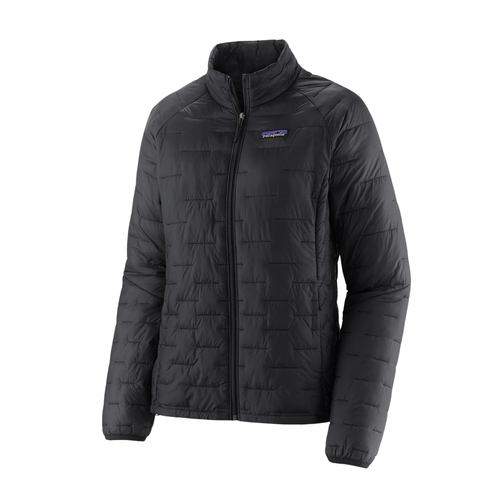 Womens Patagonia Micro Puff Jacket