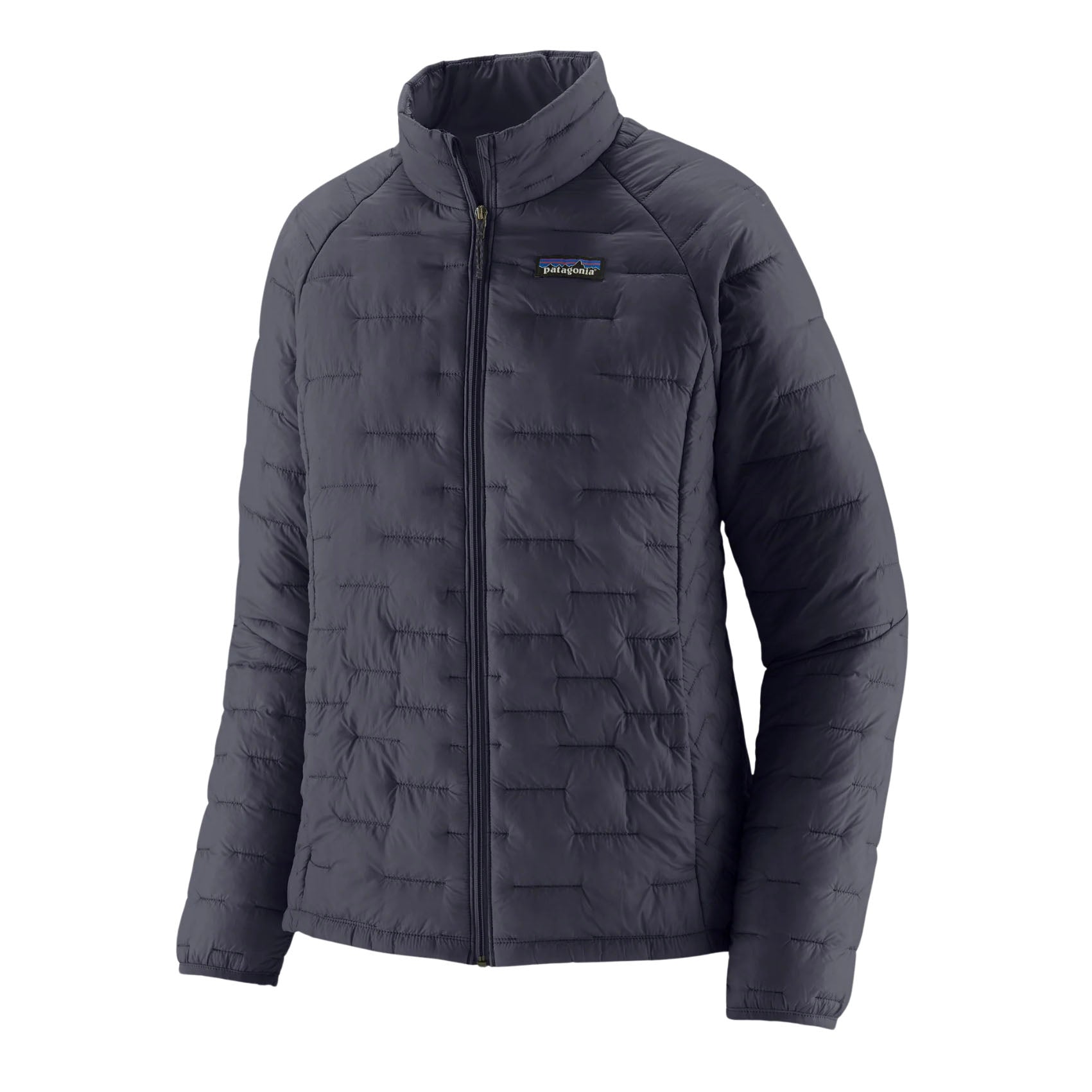 Womens Patagonia Micro Puff Jacket