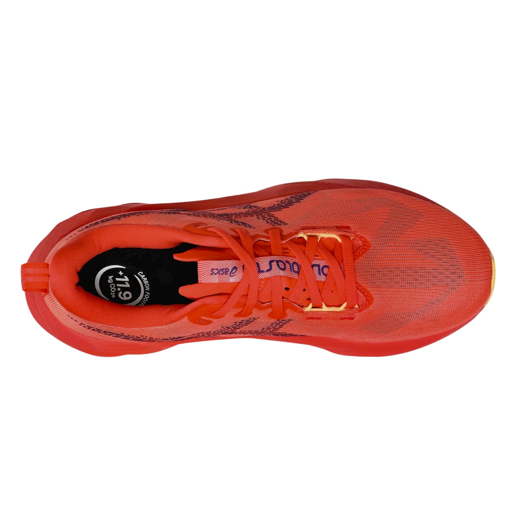 Men's Asics Novablast 5 – Commonwealth Running Co.