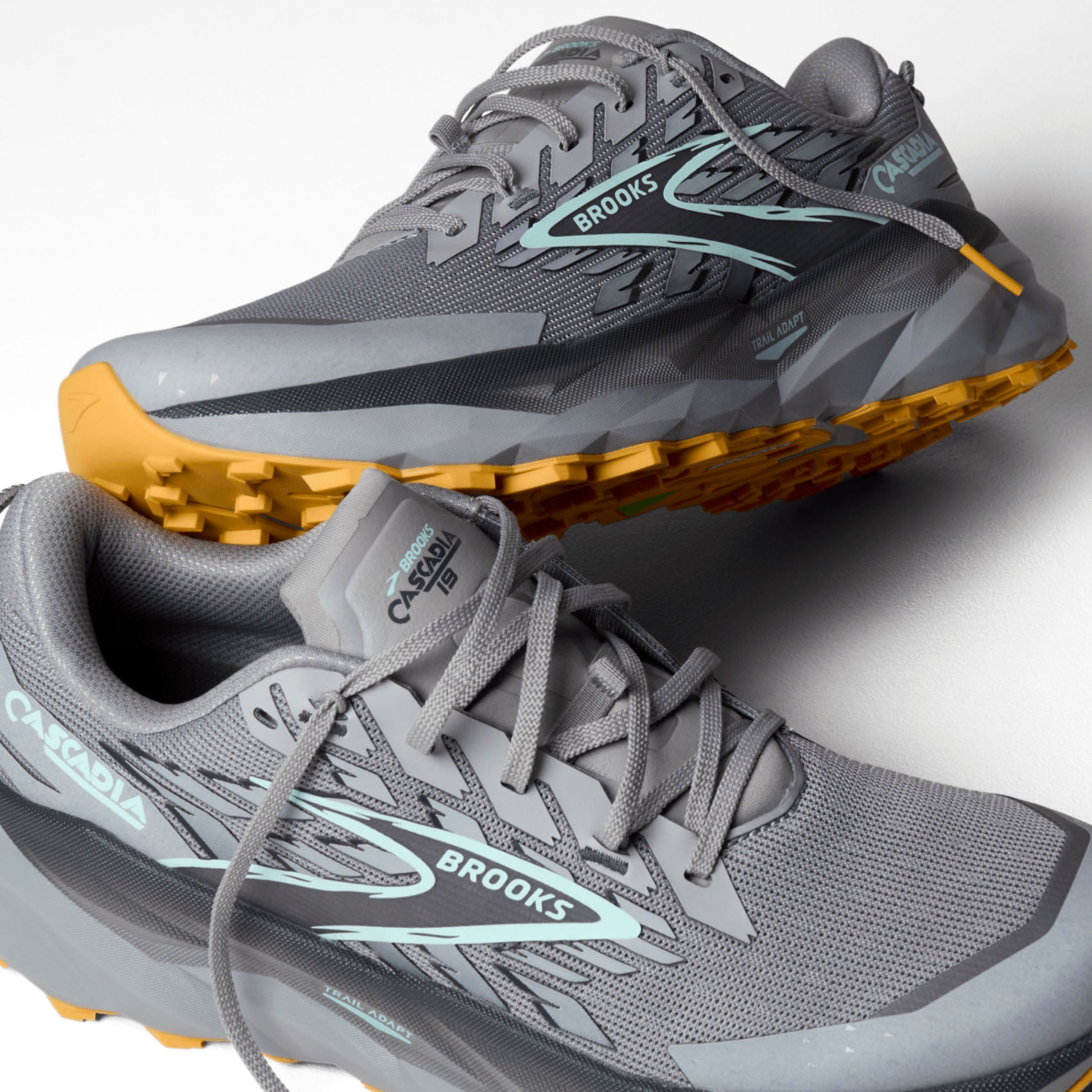 Mens Brooks Cascadia 19