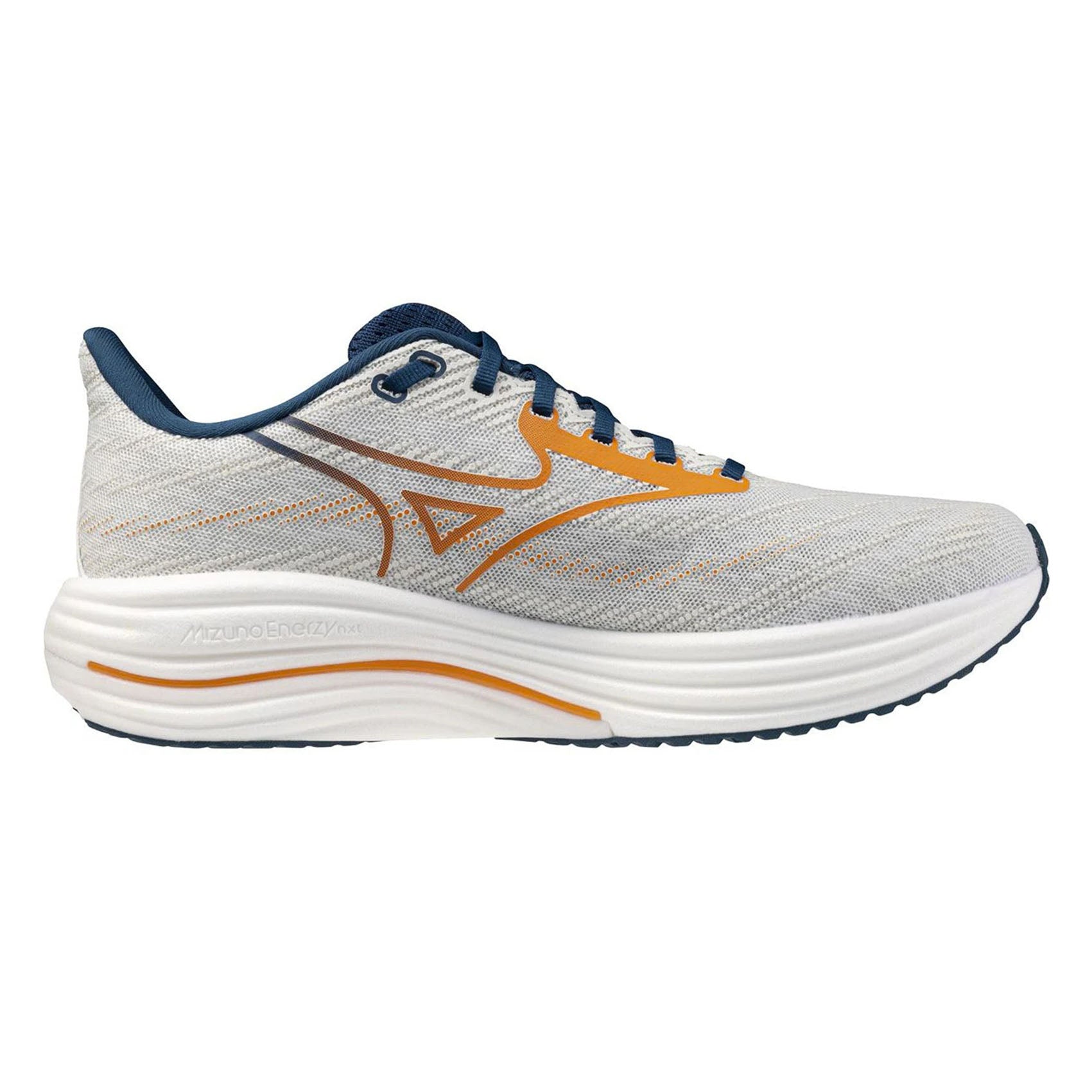 Mens Mizuno Wave Rider 29