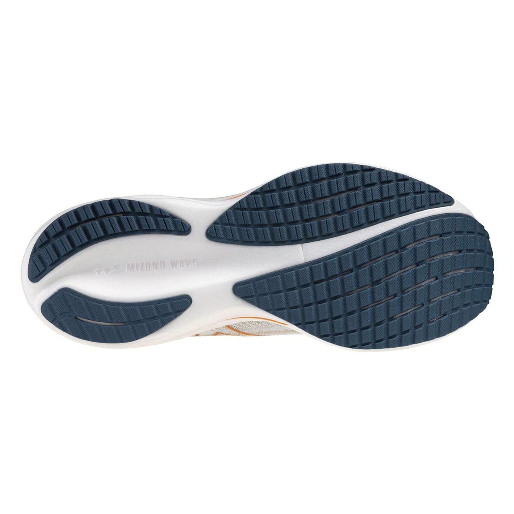 Mens Mizuno Wave Rider 29