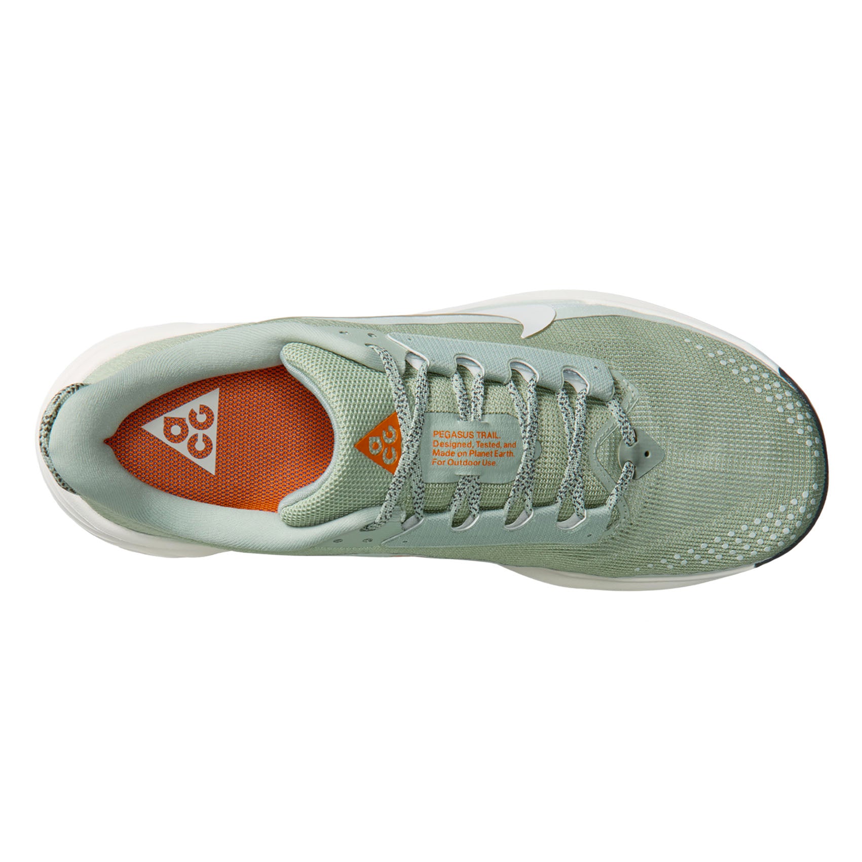 Mens Nike ACG Pegasus Trail
