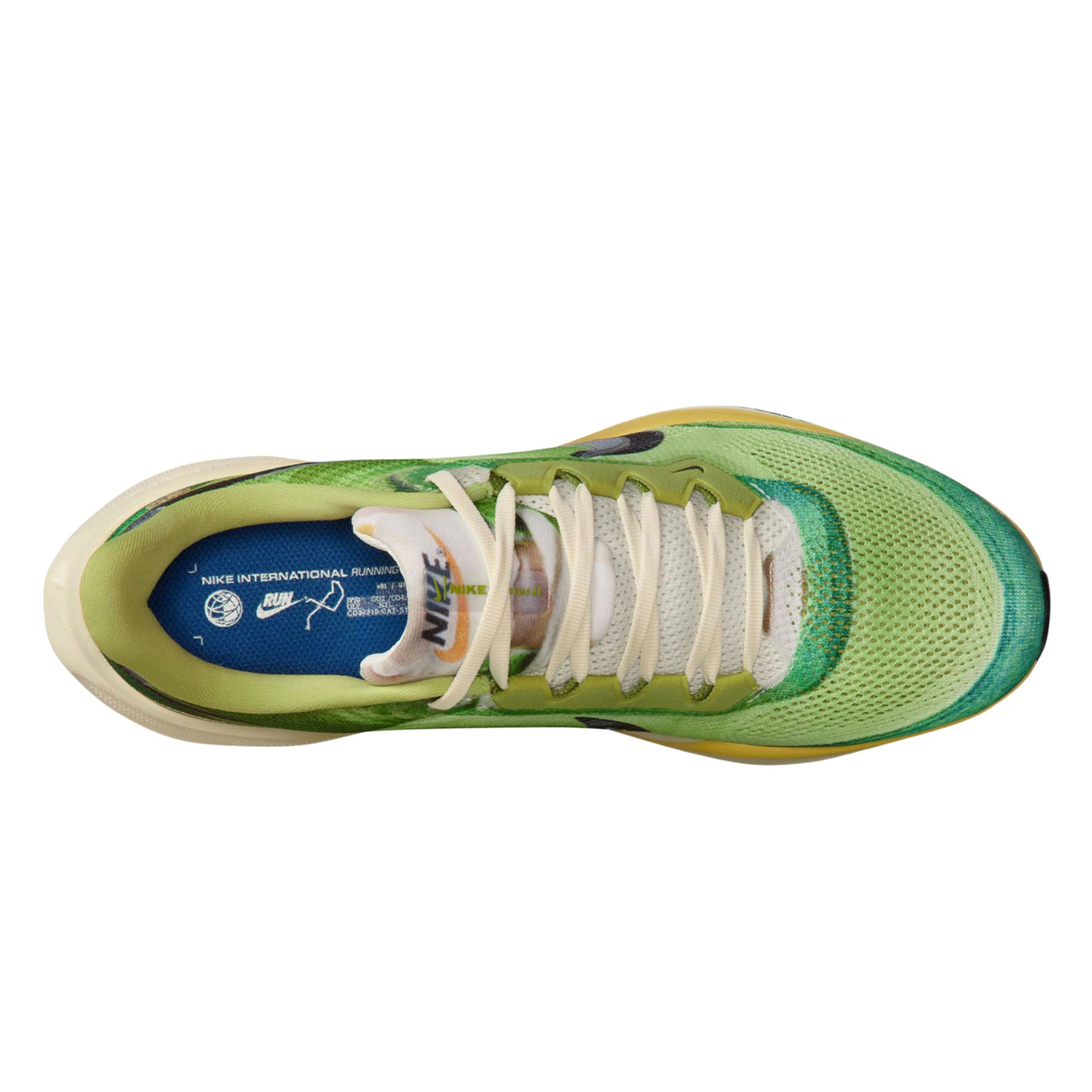 Mens Nike Air Zoom Pegasus 41 SE