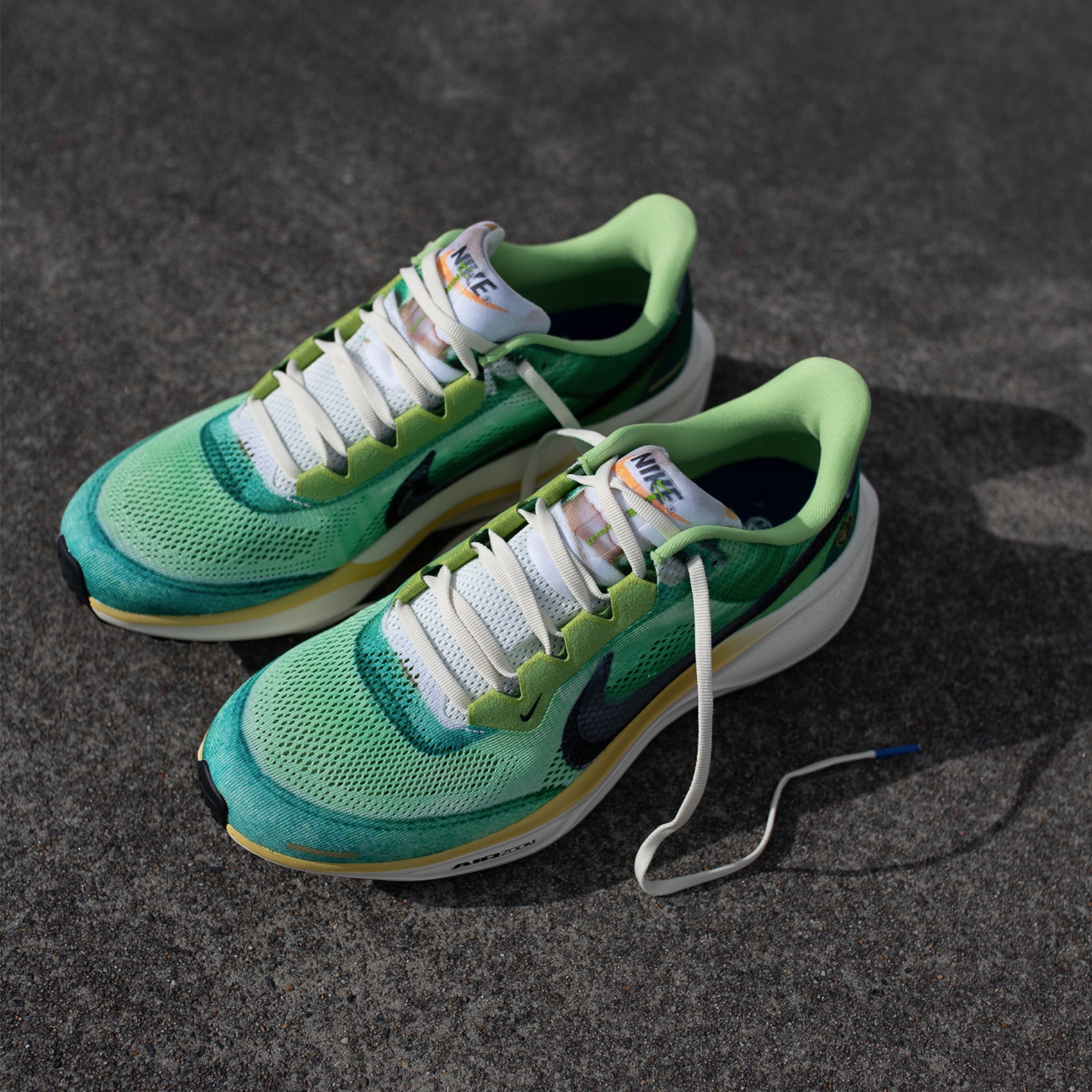 Mens Nike Air Zoom Pegasus 41 SE
