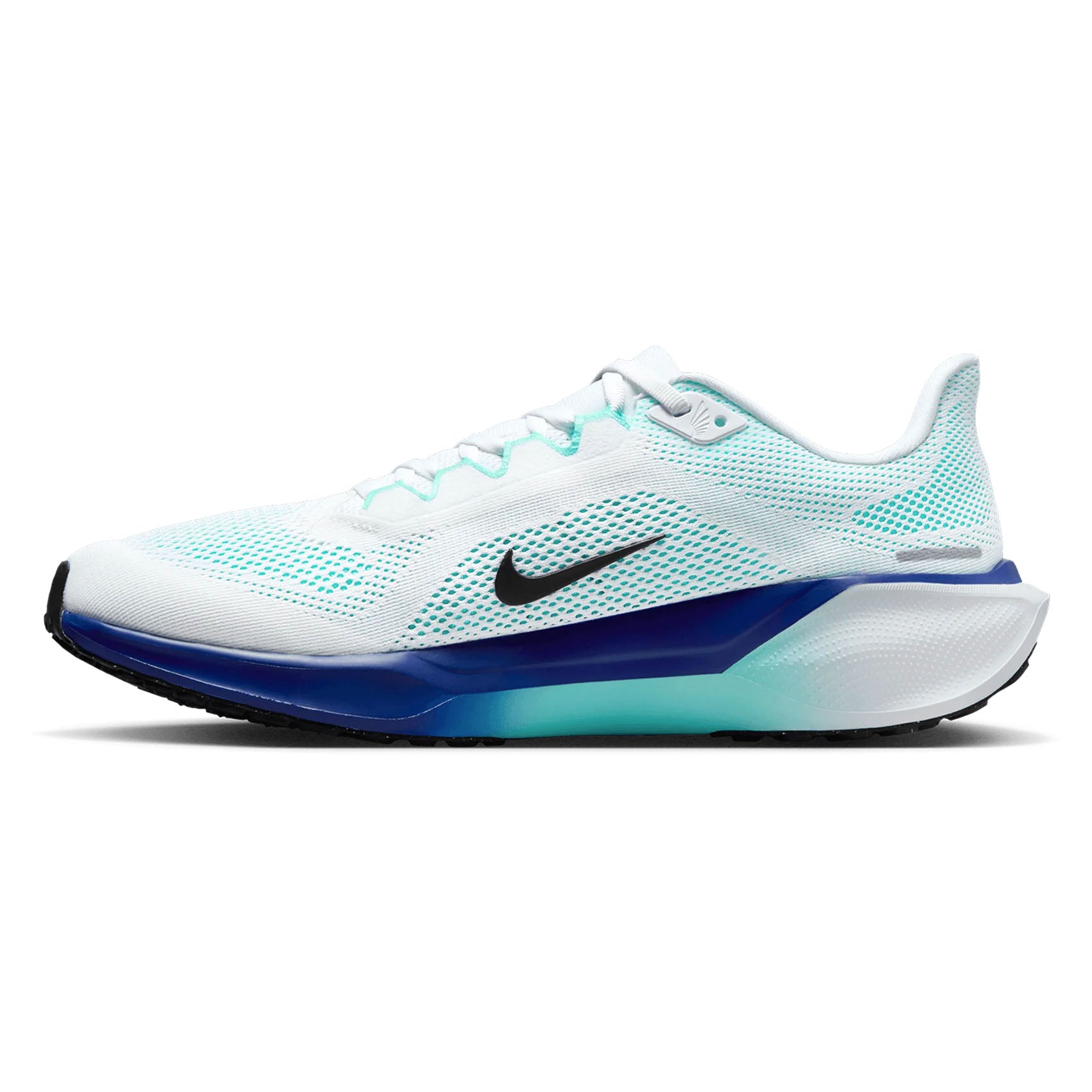 Mens Nike Pegasus 41
