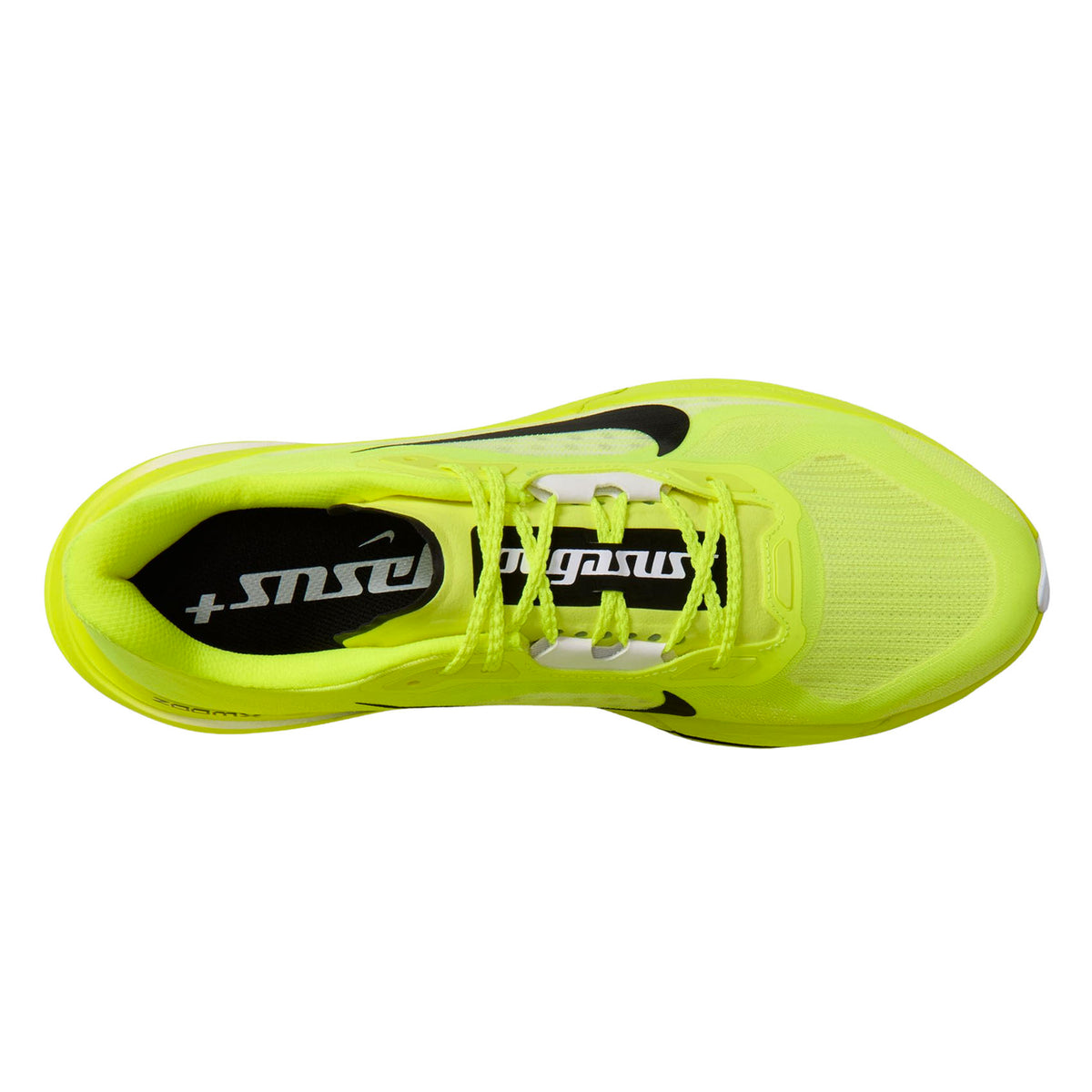 Mens Nike Pegasus Plus 2