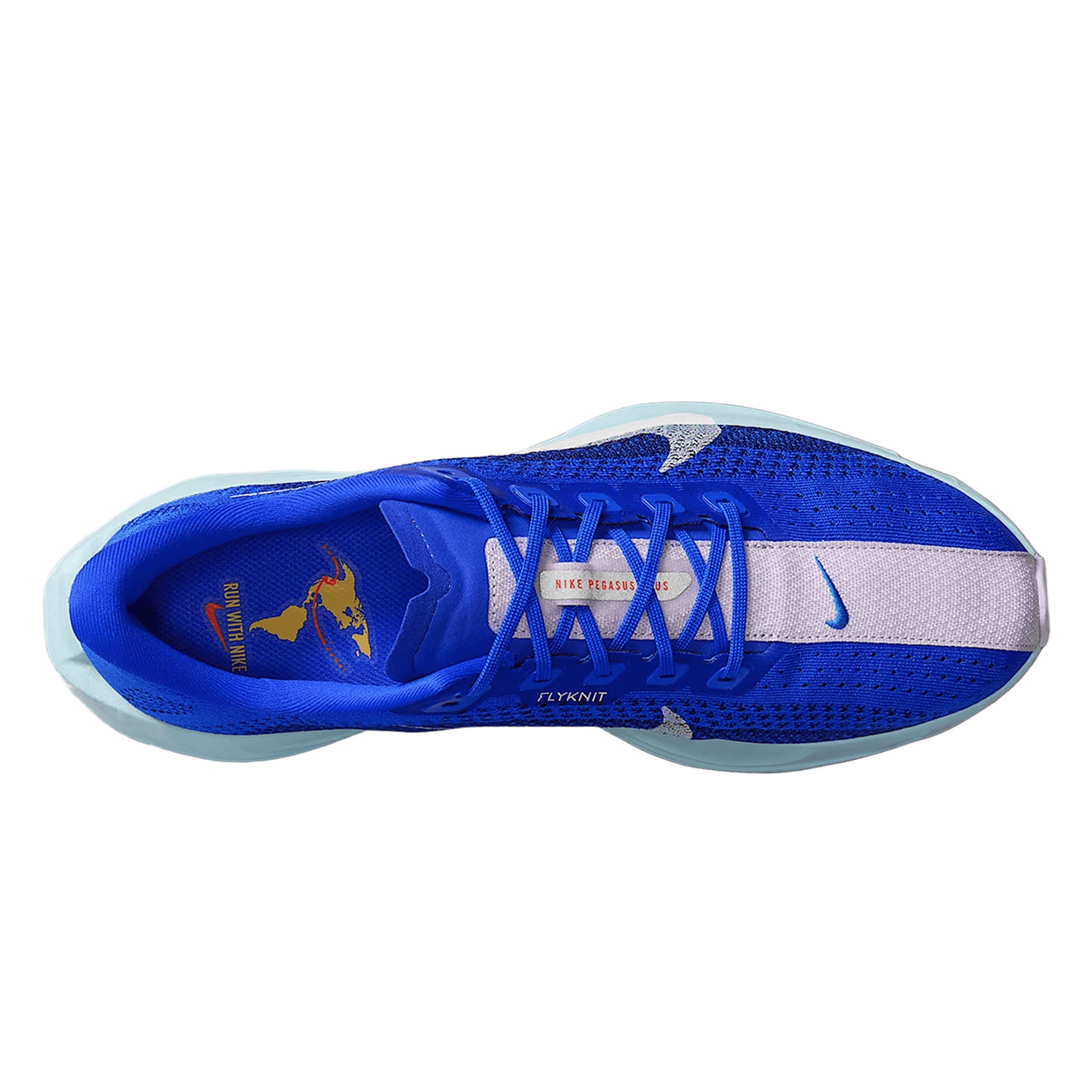 Mens Nike Pegasus Plus CM