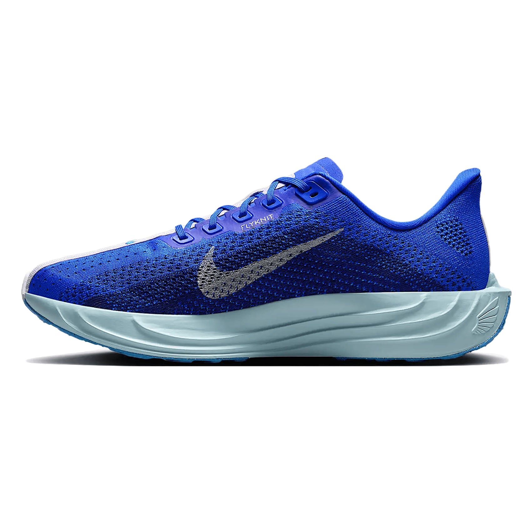Mens Nike Pegasus Plus CM