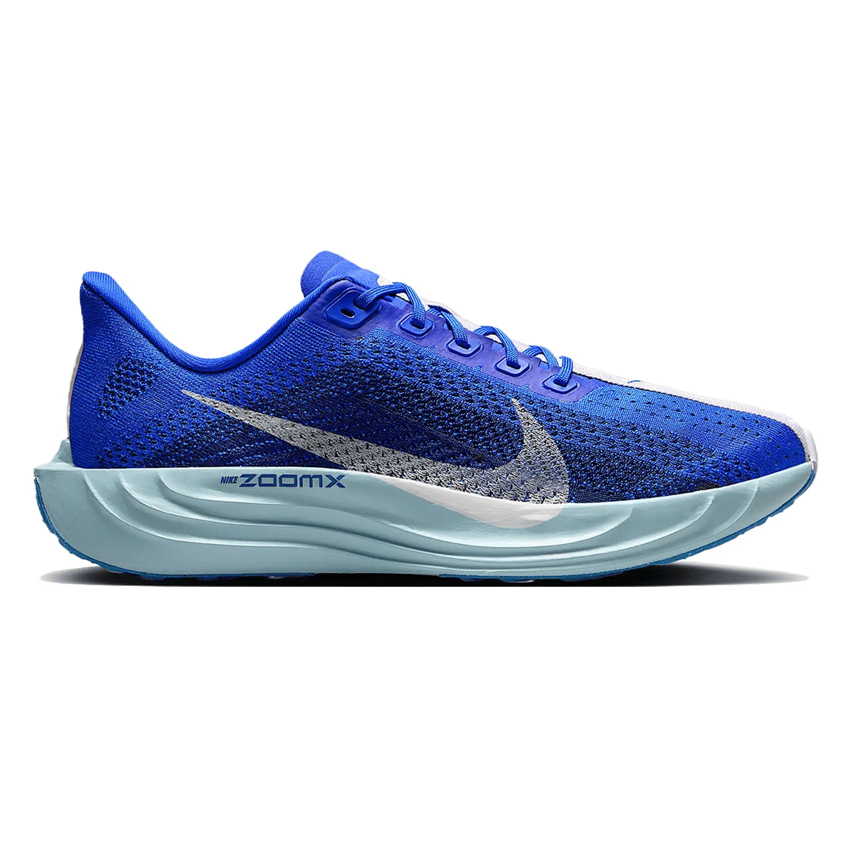 Mens Nike Pegasus Plus CM