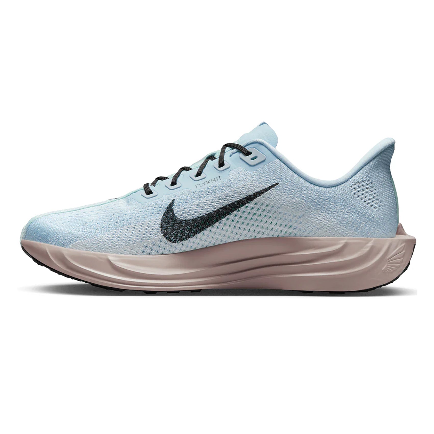 Mens Nike Pegasus Plus