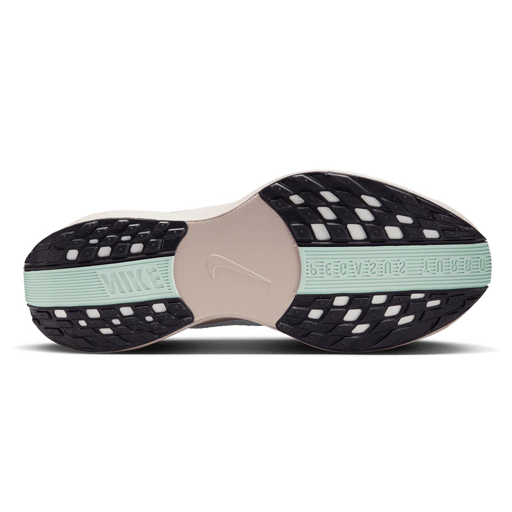 Mens Nike Pegasus Plus