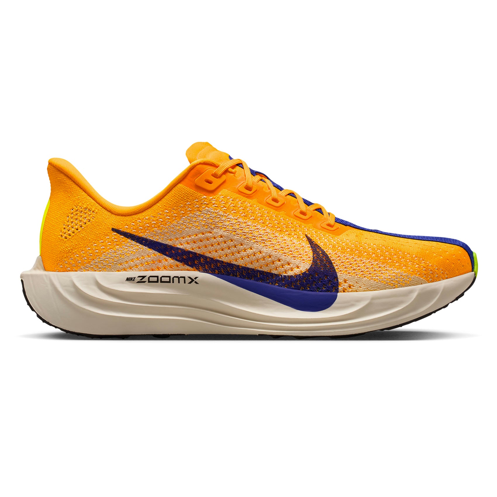 Mens Nike Pegasus Plus