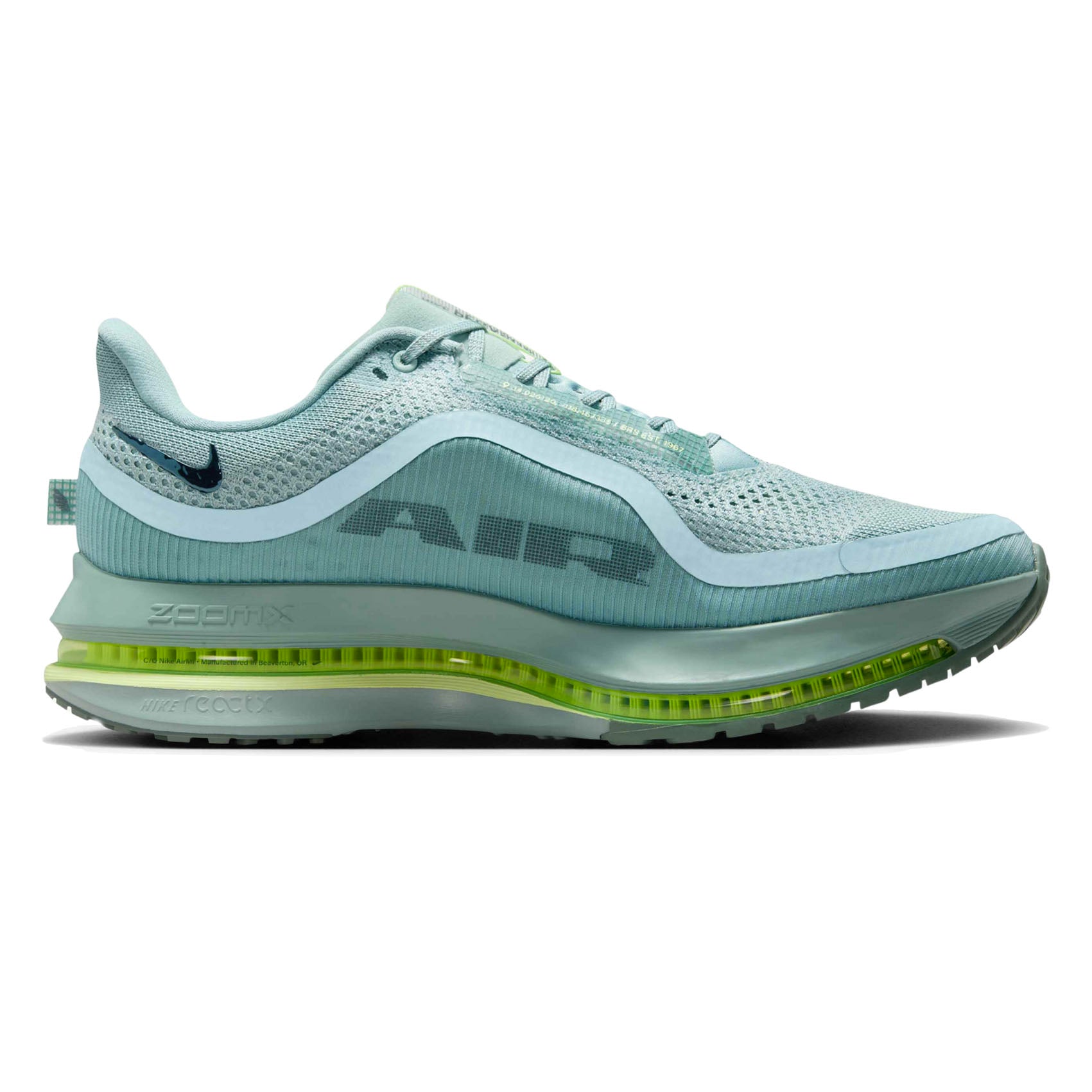 Mens Nike Pegasus Premium