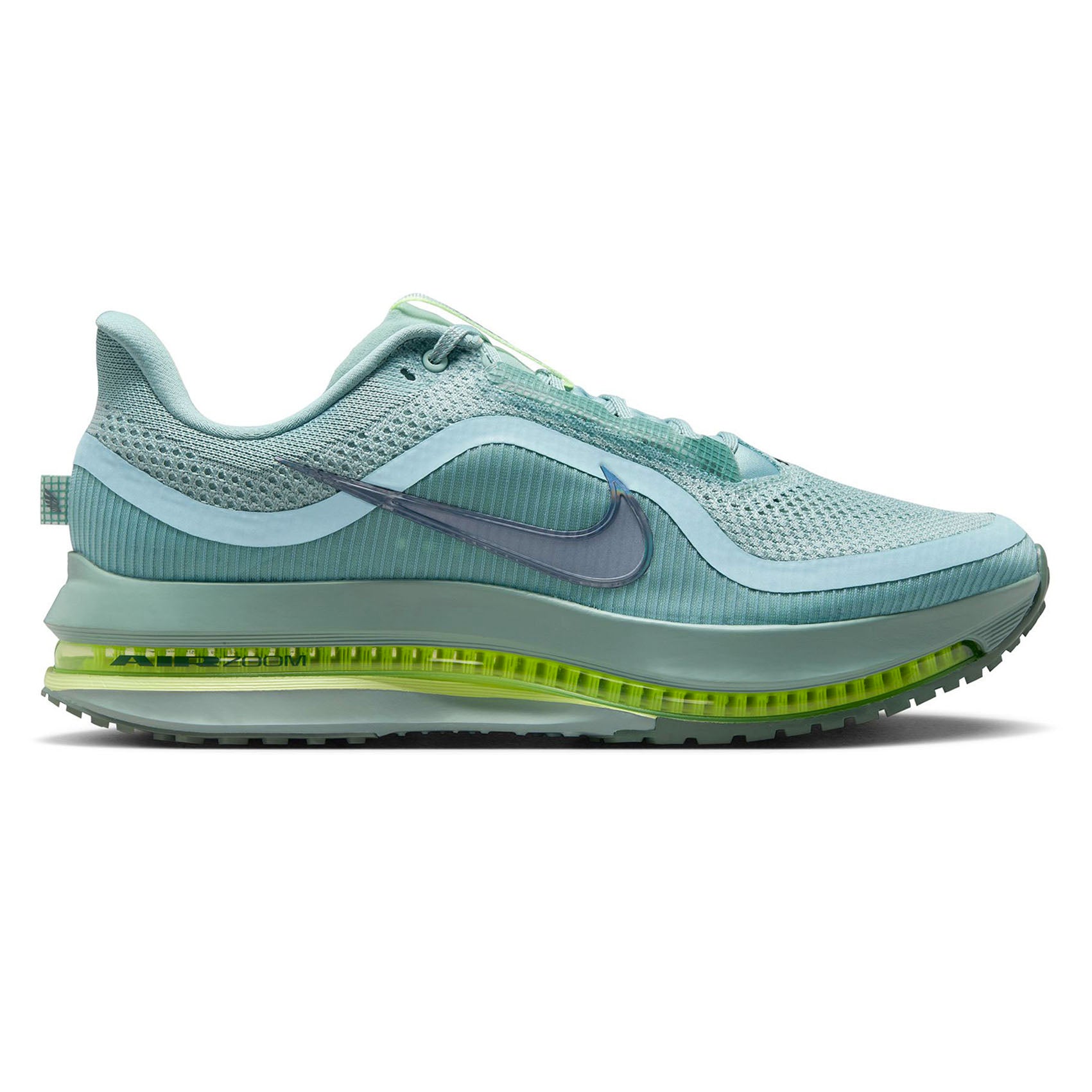 Mens Nike Pegasus Premium