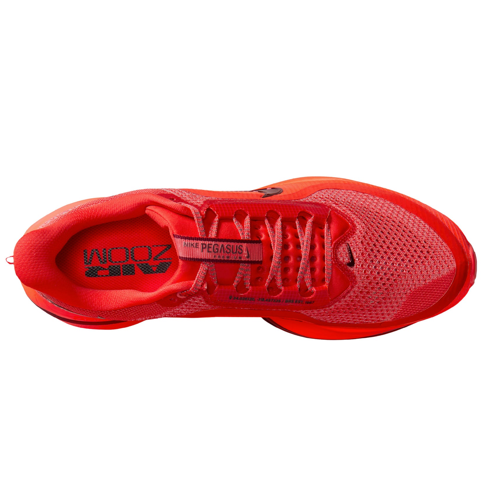 Mens Nike Pegasus Premium