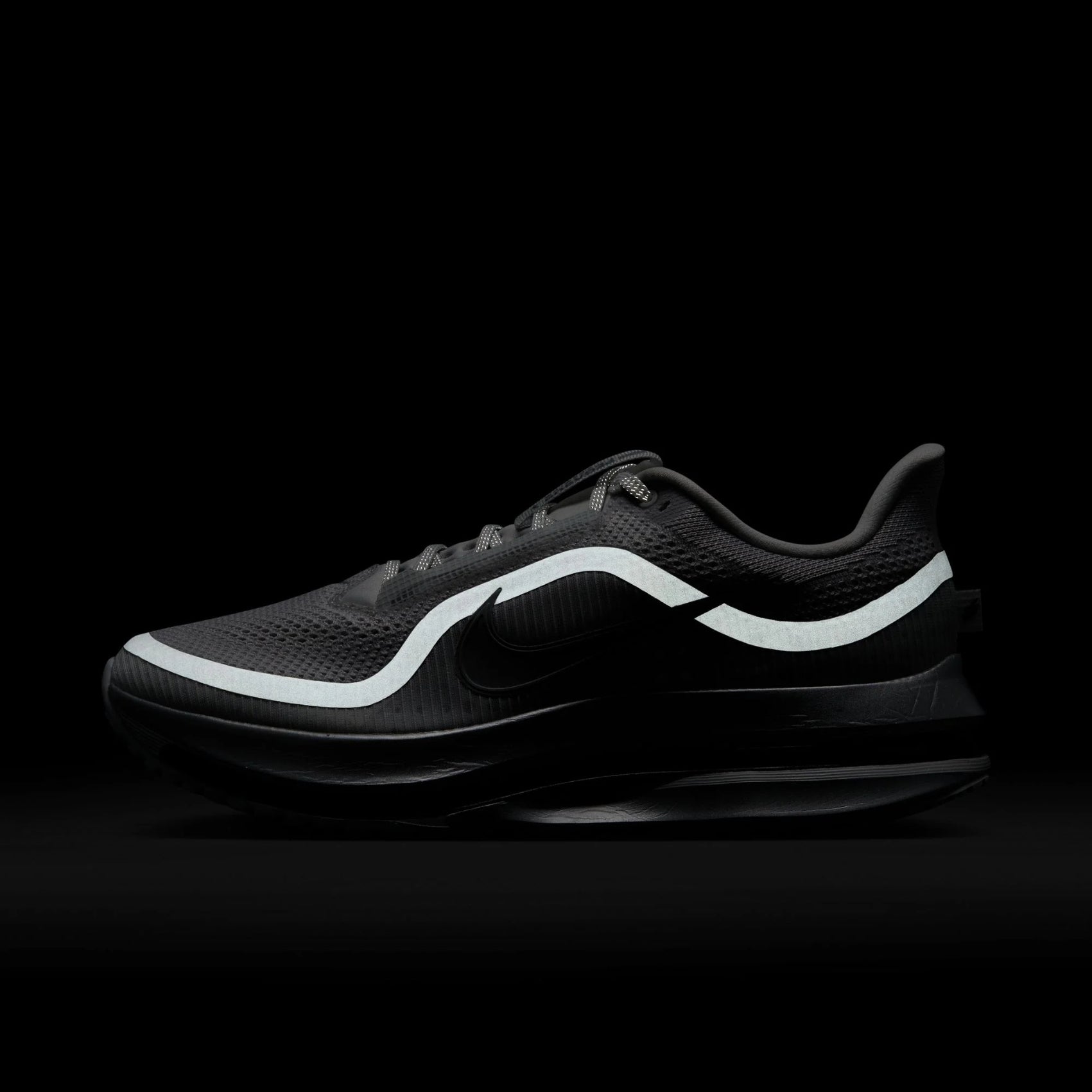 Mens Nike Pegasus Premium