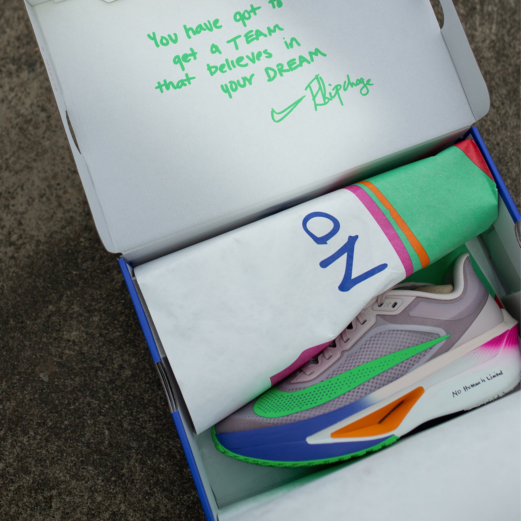 Mens Nike Zoom Fly 6 Eliud Kipchoge | Carbon-Plated Super Trainer