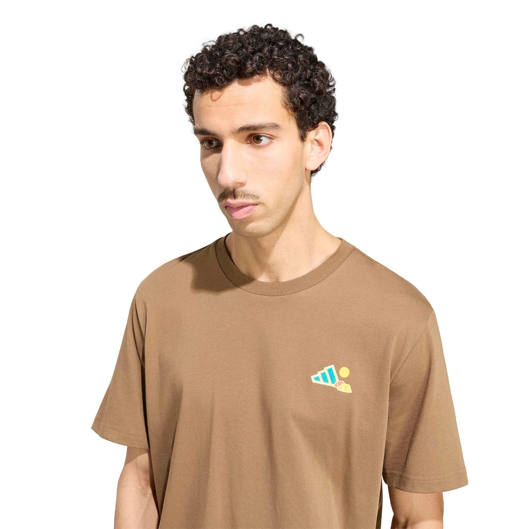 Mens adidas Terrex Camper Graphic Tee