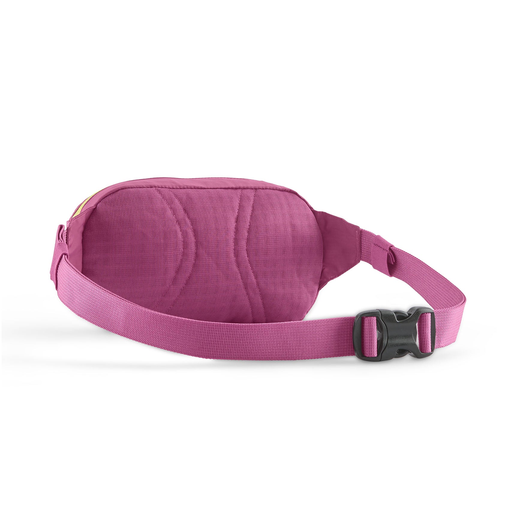 Patagonia Terravia Mini Hip Pack 1L