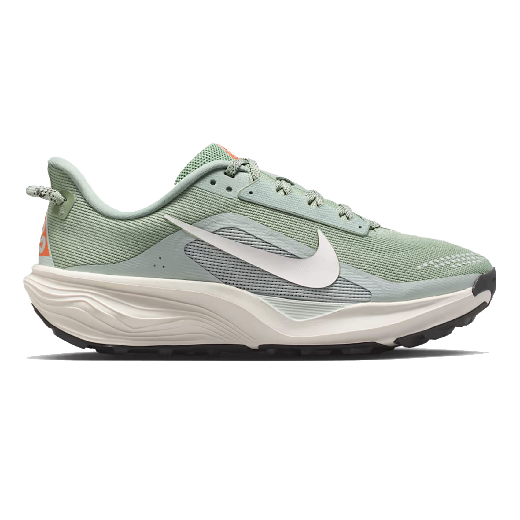 Womens Nike ACG Pegasus Trail