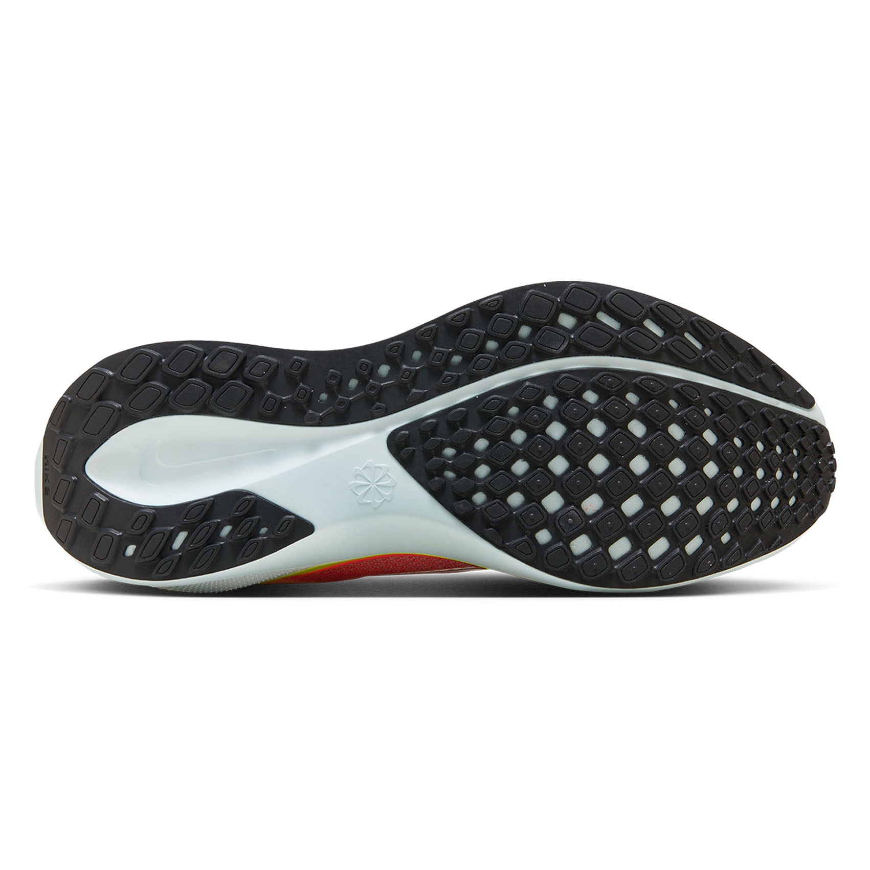 Womens Nike Air Zoom Pegasus 41